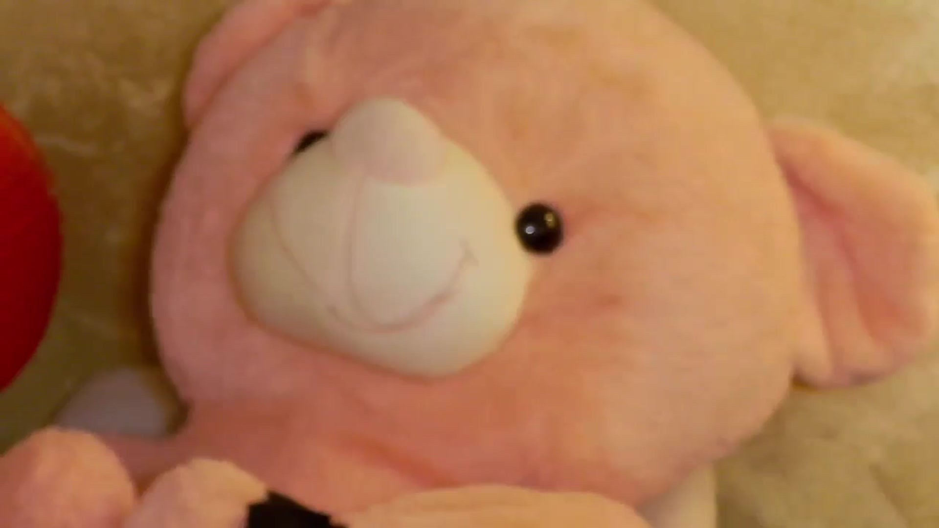 Gallery image thumbnail from Radiance's myfreecams stream on, 09/01/2025, 18:53 image 15 of 20