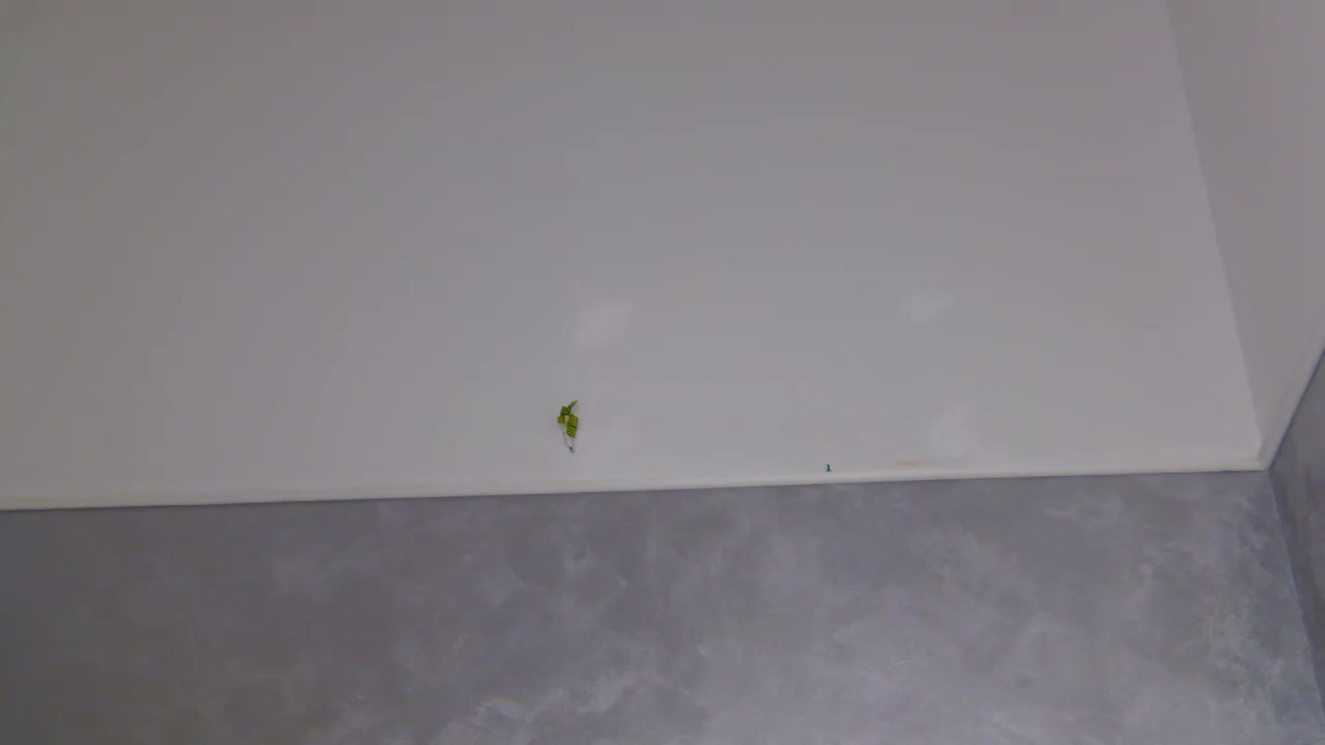 Gallery image thumbnail from Radiance's myfreecams stream on, 09/04/2025, 19:09 image 10 of 20