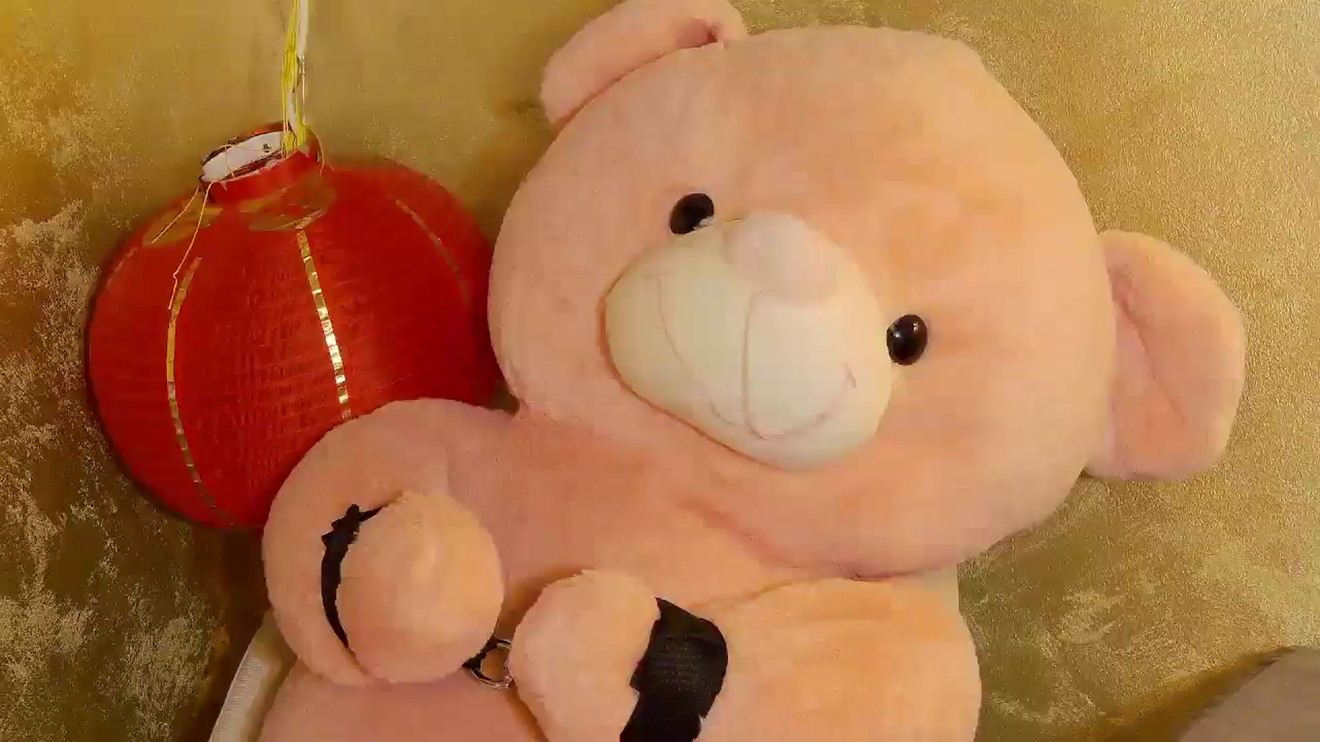 Gallery image thumbnail from Radiance's myfreecams stream on, 09/15/2025, 15:27 image 3 of 20