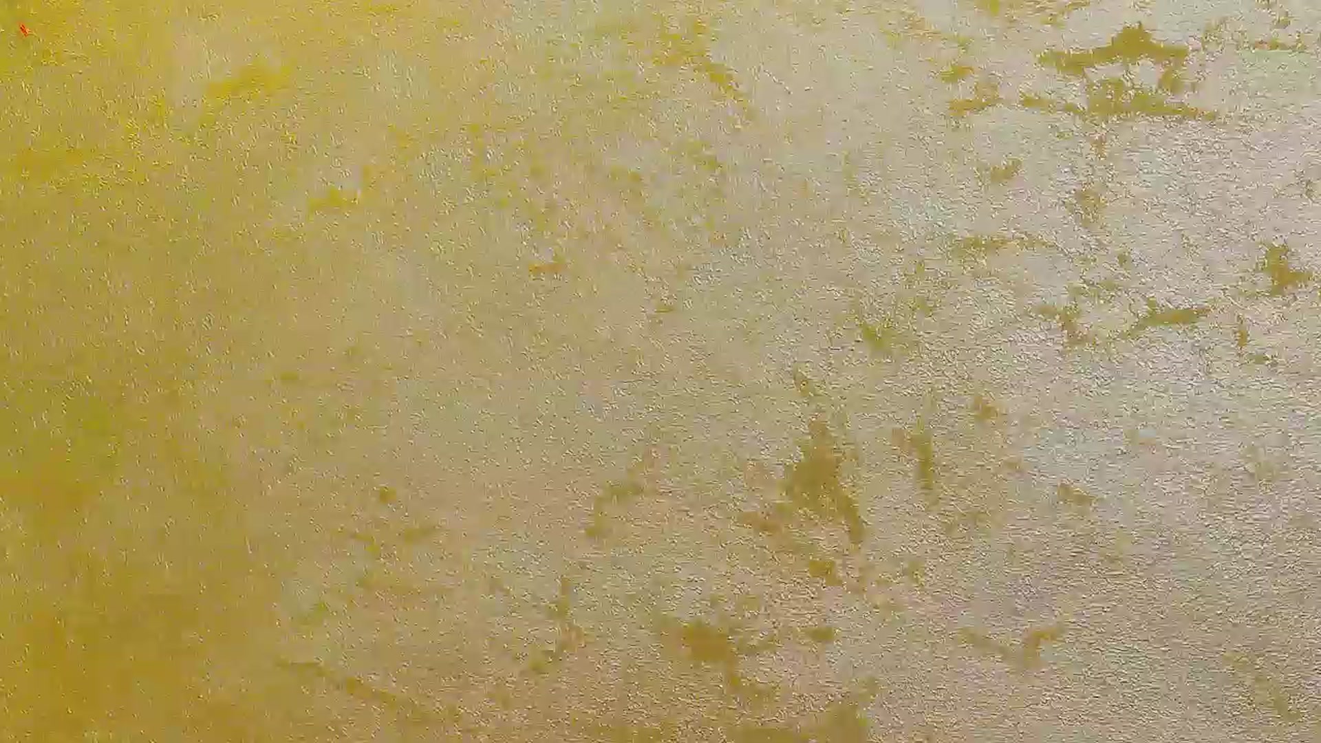 Gallery image thumbnail from Radiance's myfreecams stream on, 09/24/2025, 19:12 image 19 of 20