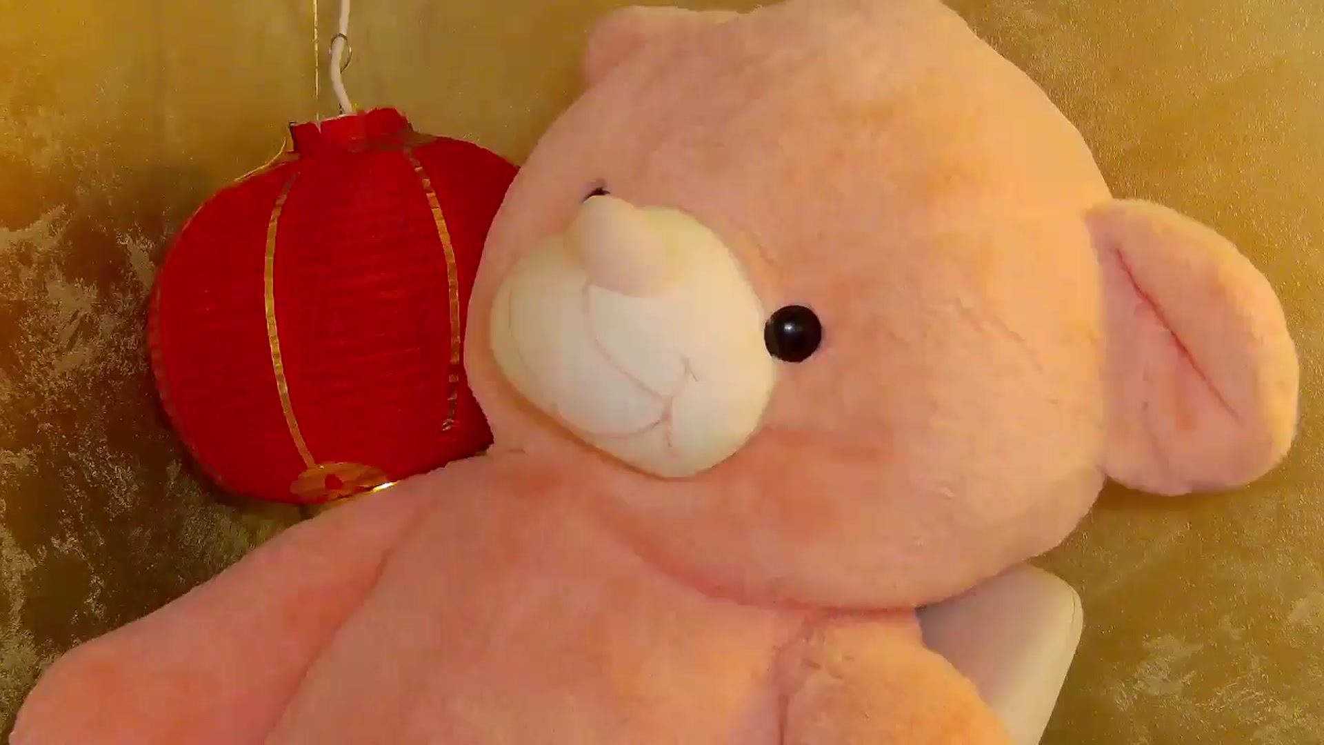 Gallery image thumbnail from Radiance's myfreecams stream on, 10/24/2025, 18:40 image 11 of 20