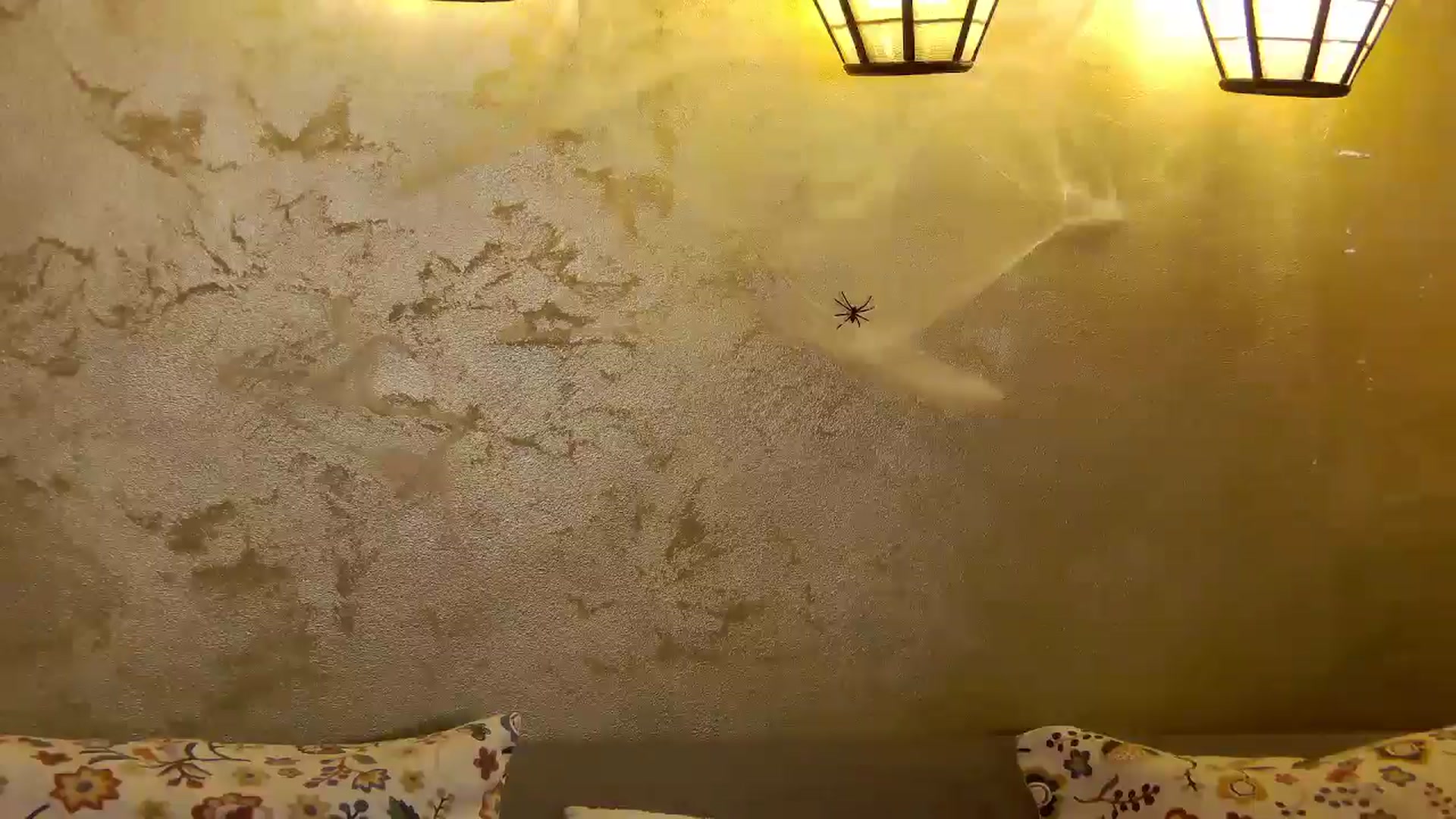 Gallery image thumbnail from Radiance's myfreecams stream on, 11/06/2025, 20:17 image 7 of 20