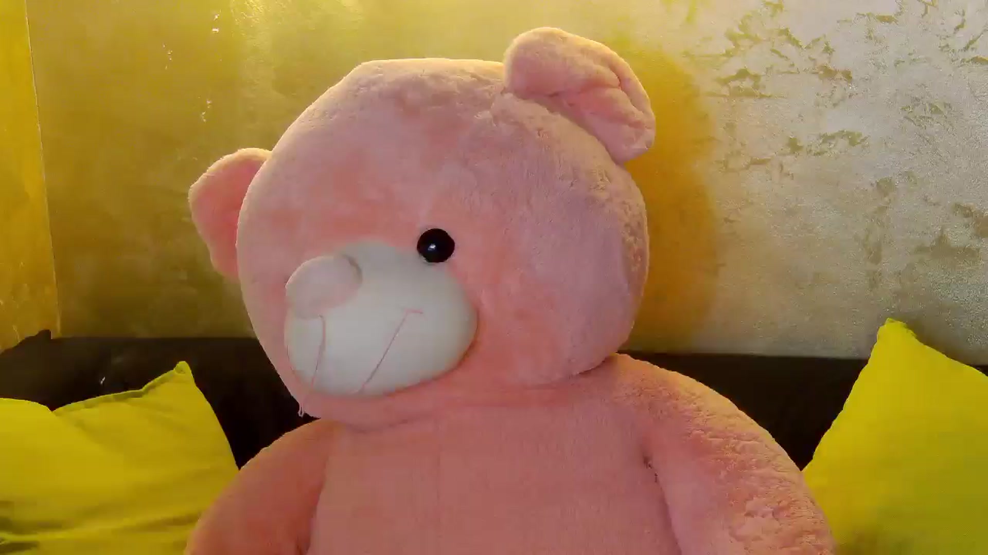 Gallery image thumbnail from Radiance's myfreecams stream on, 11/30/2025, 15:28 image 6 of 20