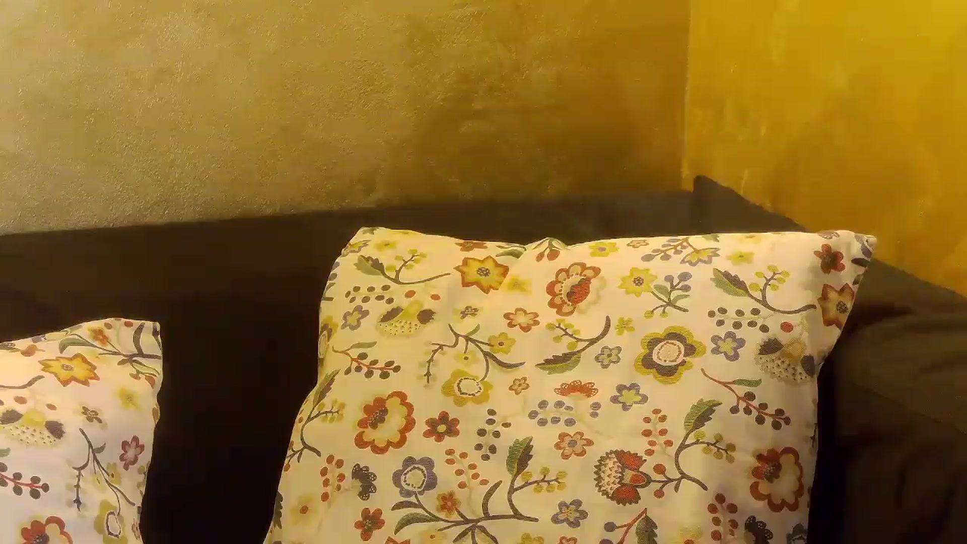 Gallery image thumbnail from Radiance's myfreecams stream on, 12/22/2025, 14:57 image 12 of 20