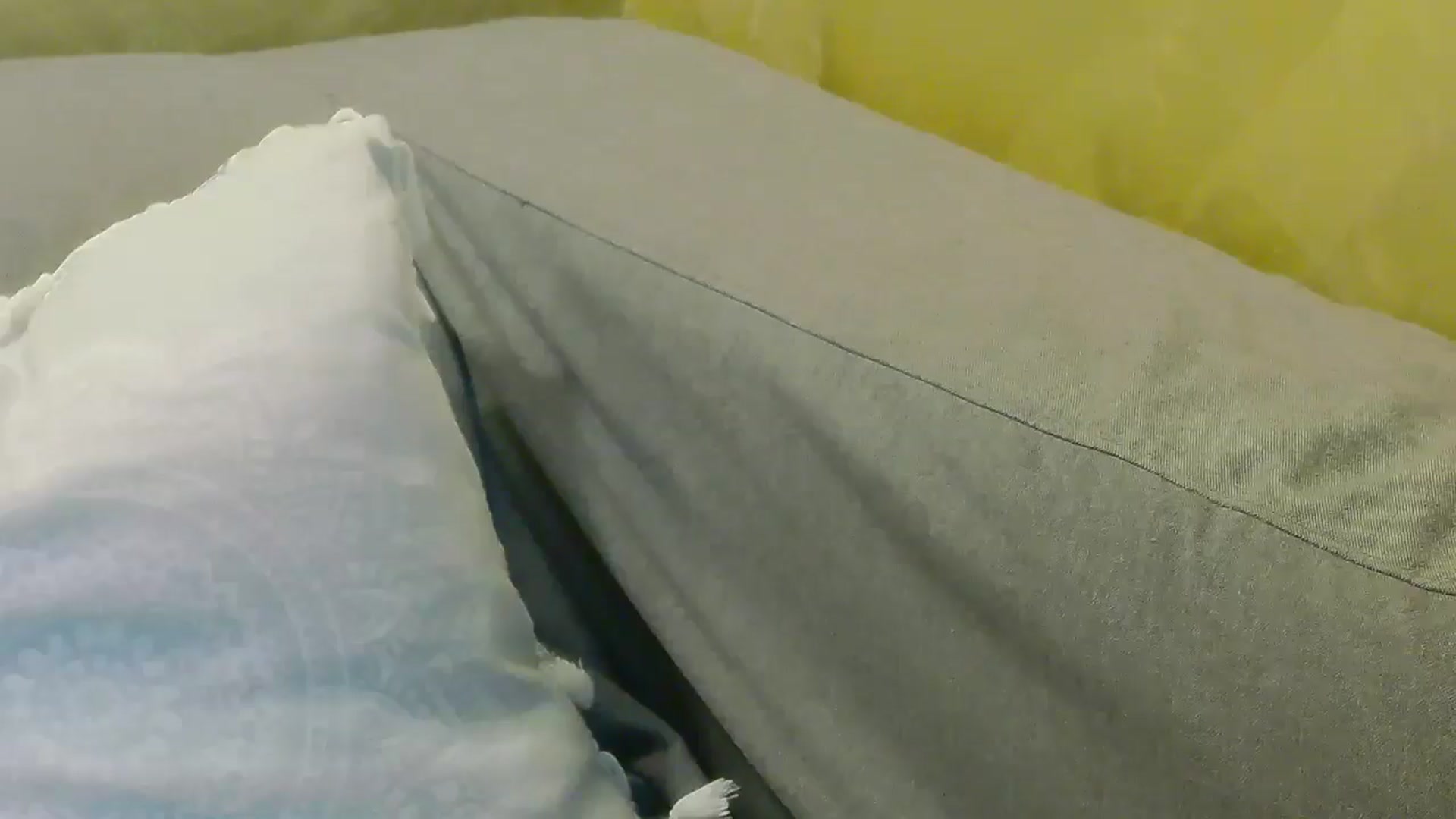 Gallery image thumbnail from Radiance's myfreecams stream on, 05/09/2026, 20:46 image 17 of 20