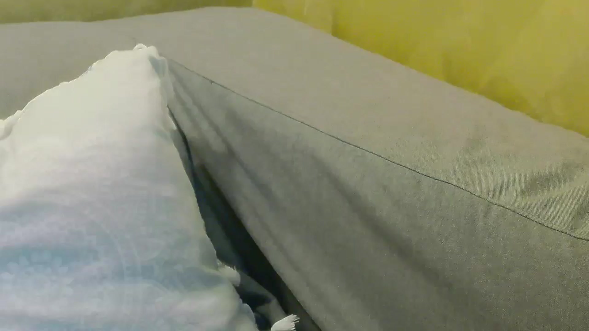 Gallery image thumbnail from Radiance's myfreecams stream on, 05/09/2026, 20:46 image 18 of 20