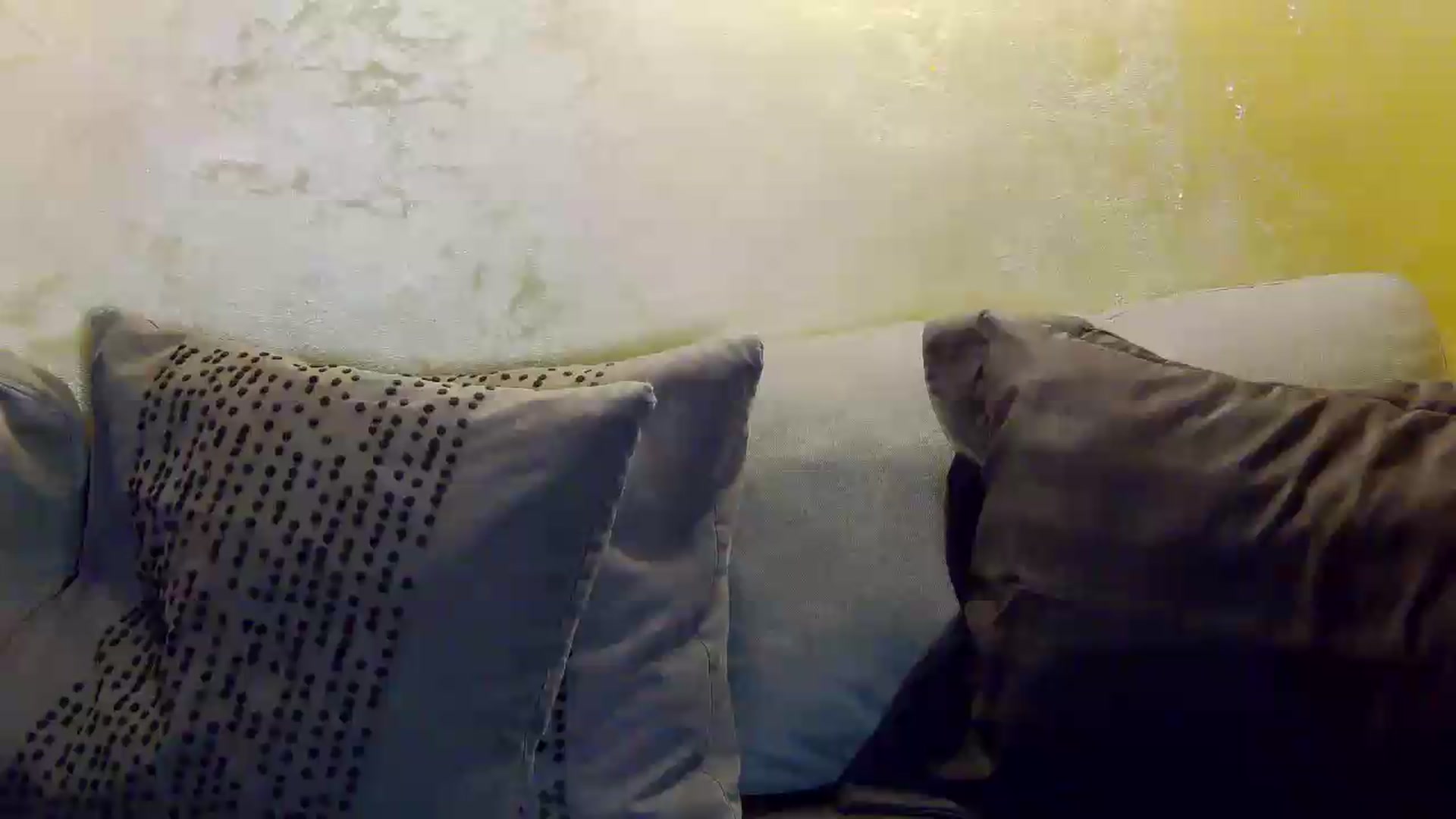 Gallery image thumbnail from Radiance's myfreecams stream on, 06/12/2026, 19:26 image 20 of 20