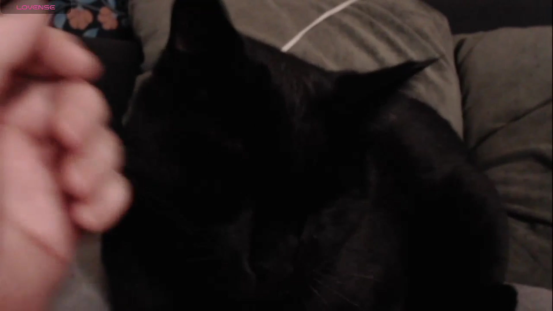 Gallery image thumbnail from RadiantLacy's myfreecams stream on, 12/26/2023, 10:44 image 5 of 20