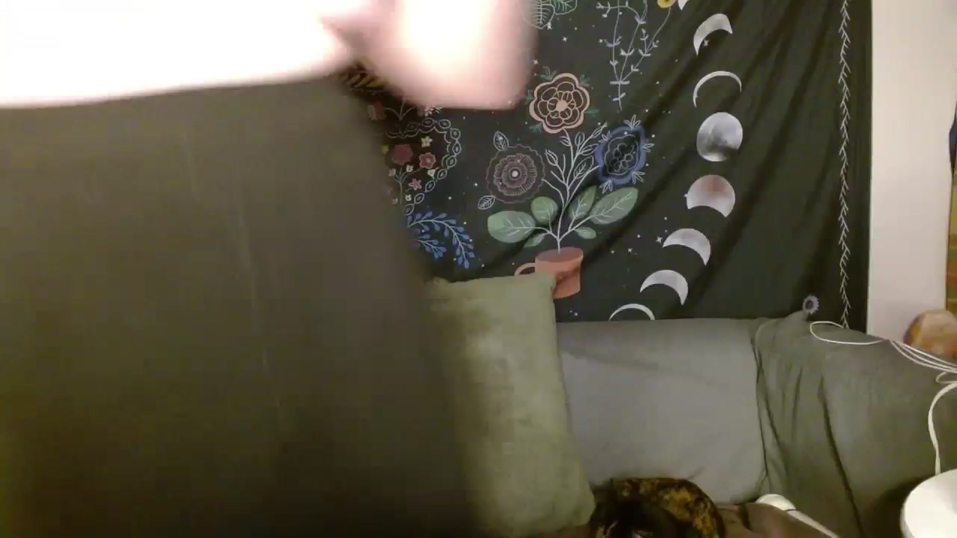 Gallery image thumbnail from RadiantLacy's myfreecams stream on, 03/07/2024, 08:52 image 5 of 20