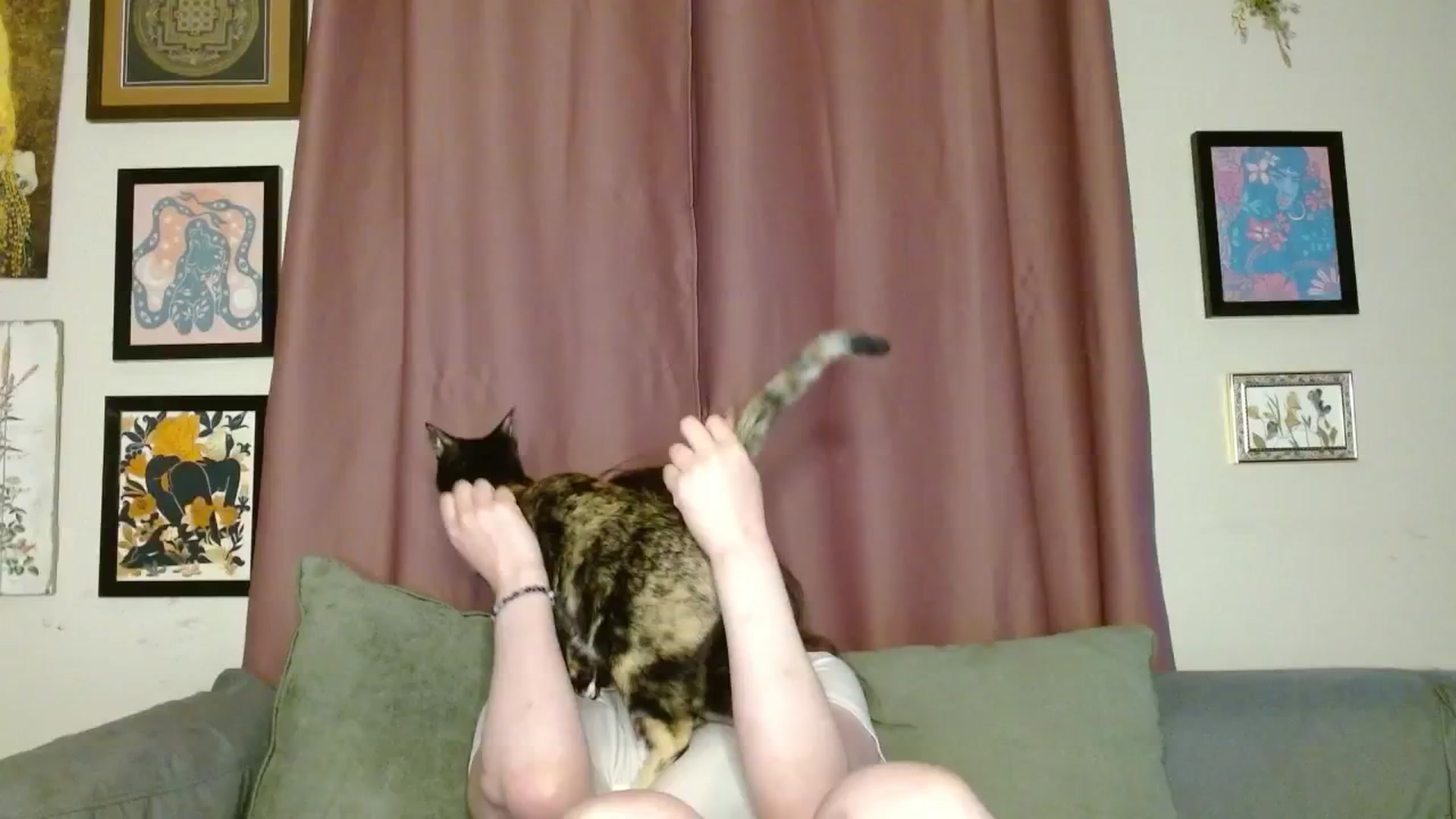 Gallery image thumbnail from RadiantLacy's myfreecams stream on, 06/22/2024, 13:12 image 9 of 20