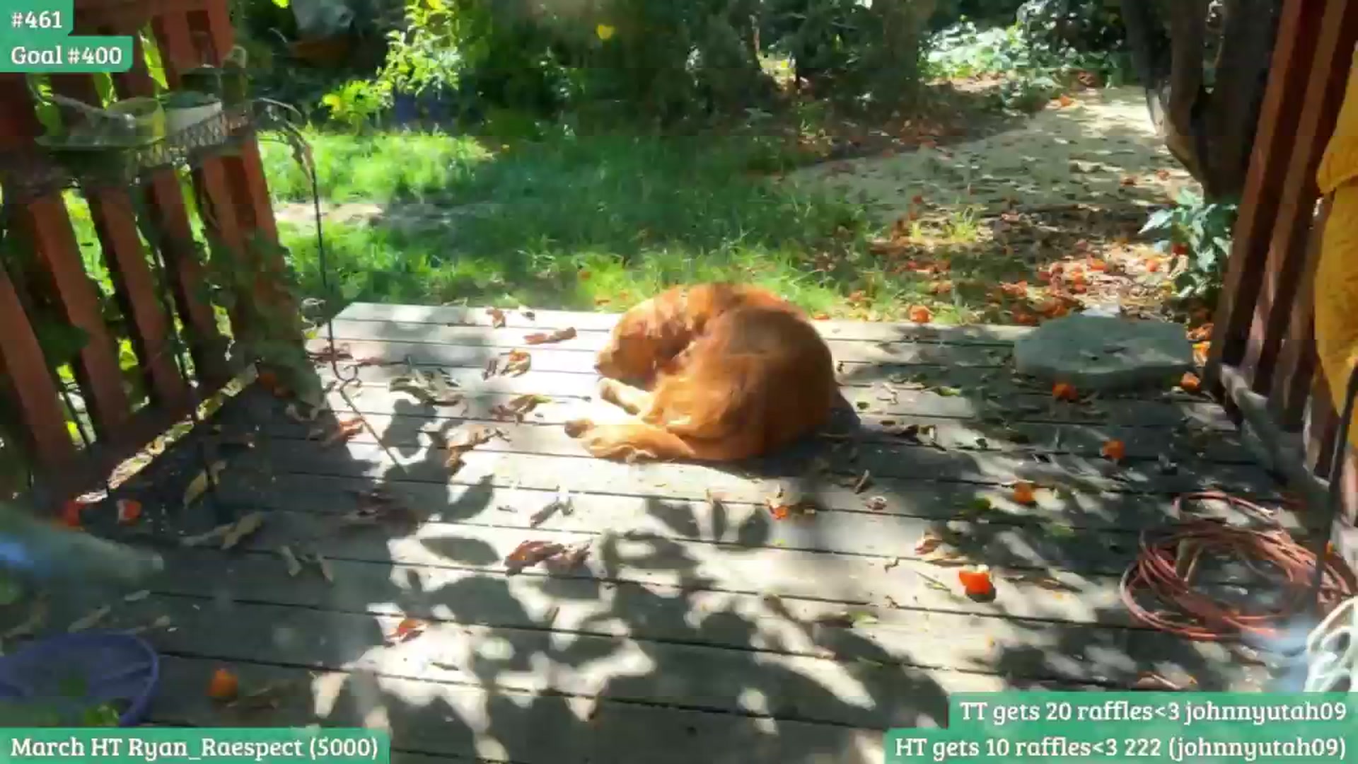 Gallery image thumbnail from RaeRiley's myfreecams stream on, 03/30/2026, 24:37 image 3 of 20