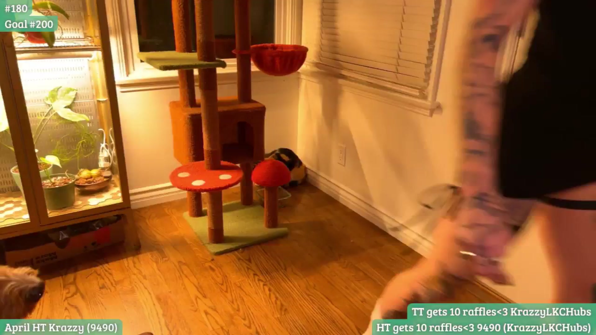 Gallery image thumbnail from RaeRiley's myfreecams stream on, 04/11/2026, 04:12 image 11 of 20