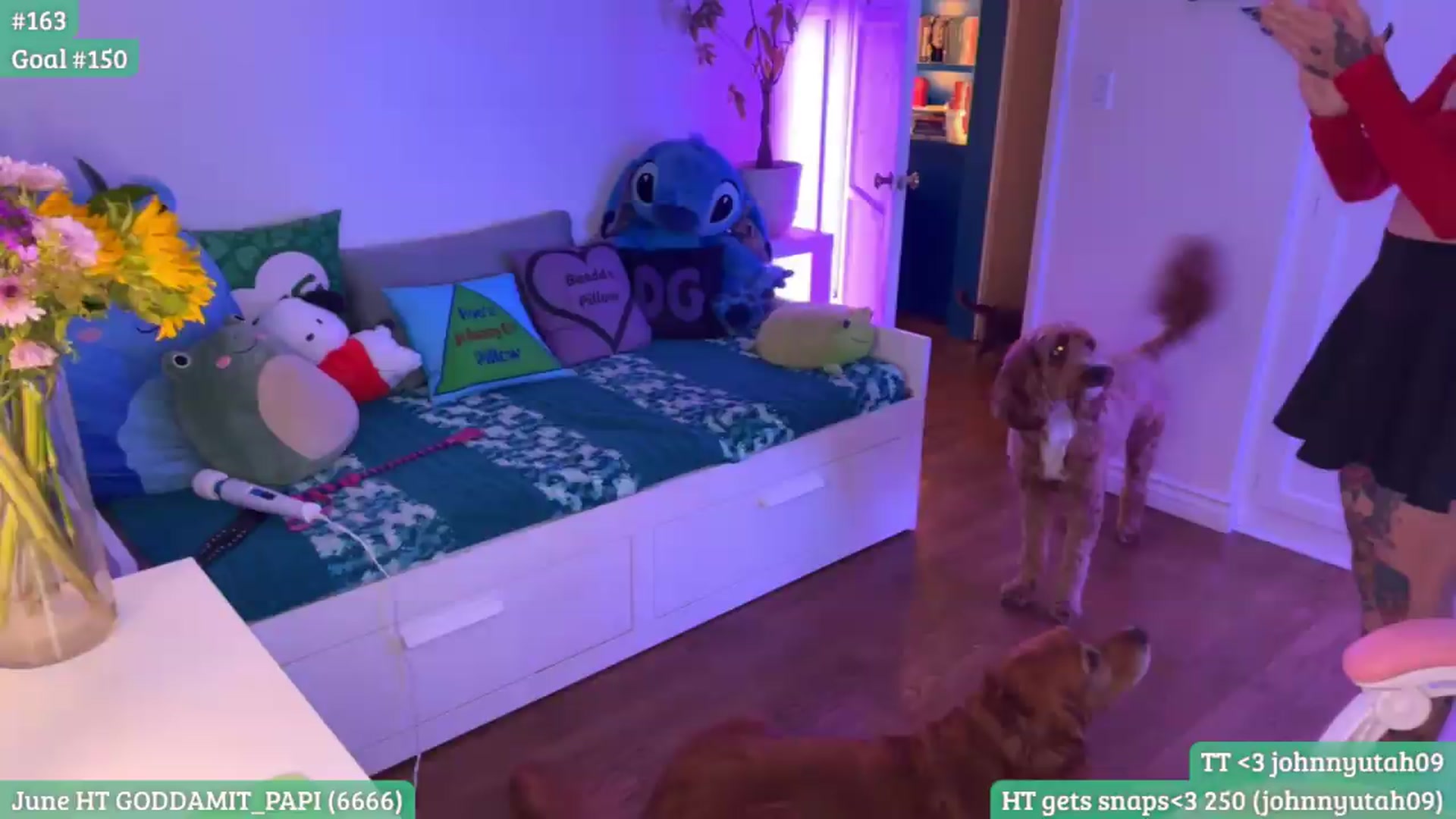 Gallery image thumbnail from RaeRiley's myfreecams stream on, 06/12/2026, 03:35 image 17 of 20