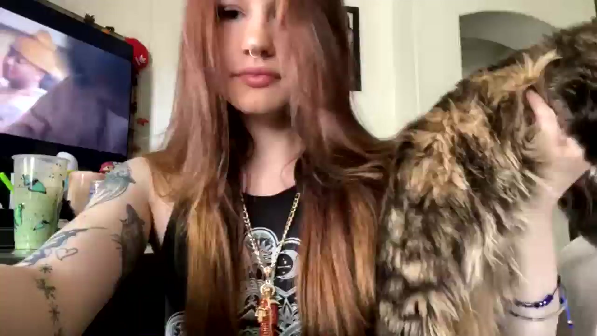 Gallery image thumbnail from RainStormin's myfreecams stream on, 02/28/2025, 21:55 image 1 of 20