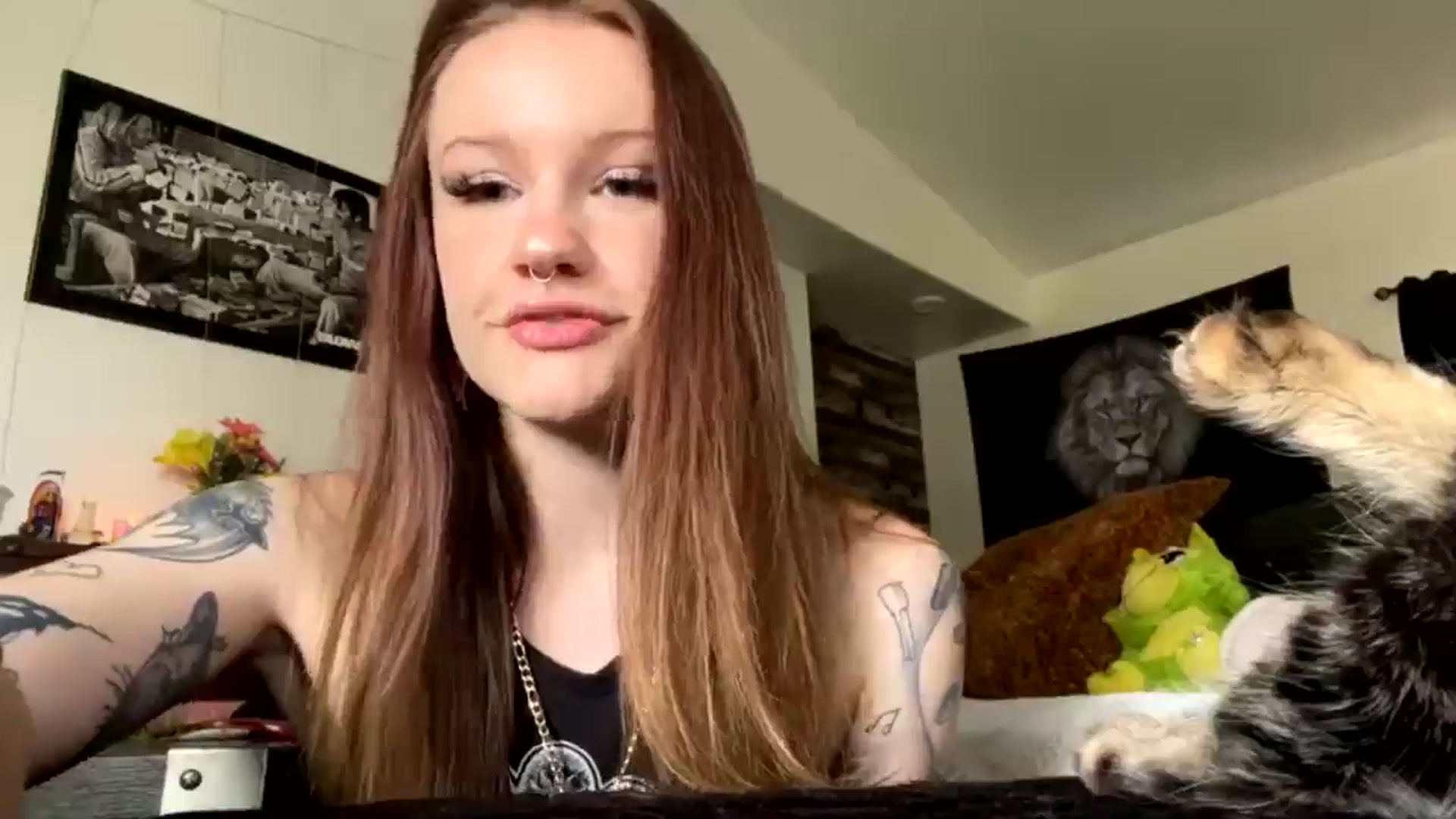 Gallery image thumbnail from RainStormin's myfreecams stream on, 02/28/2025, 21:55 image 15 of 20