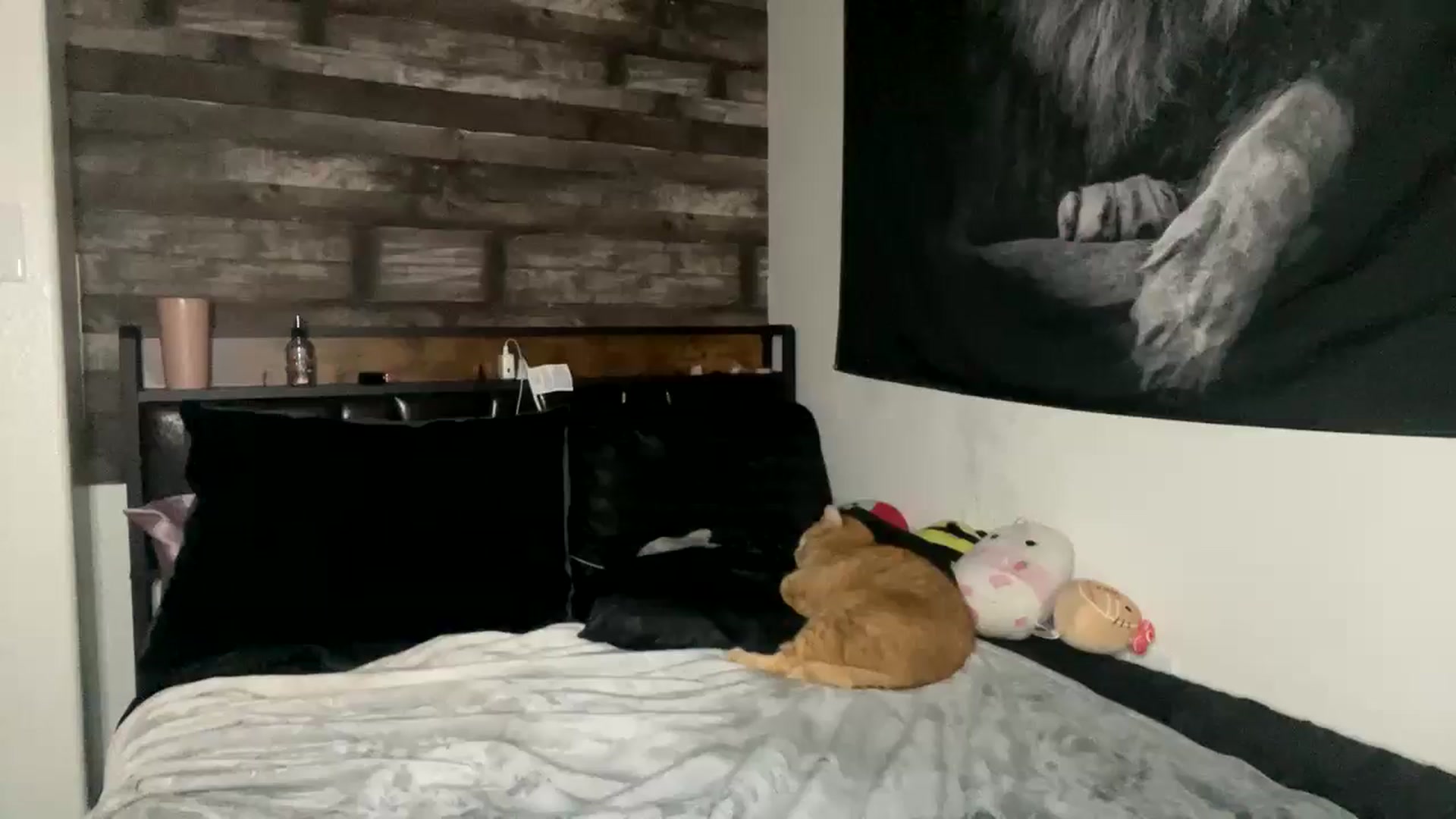 Gallery image thumbnail from RainStormin's myfreecams stream on, 03/03/2025, 06:57 image 18 of 20