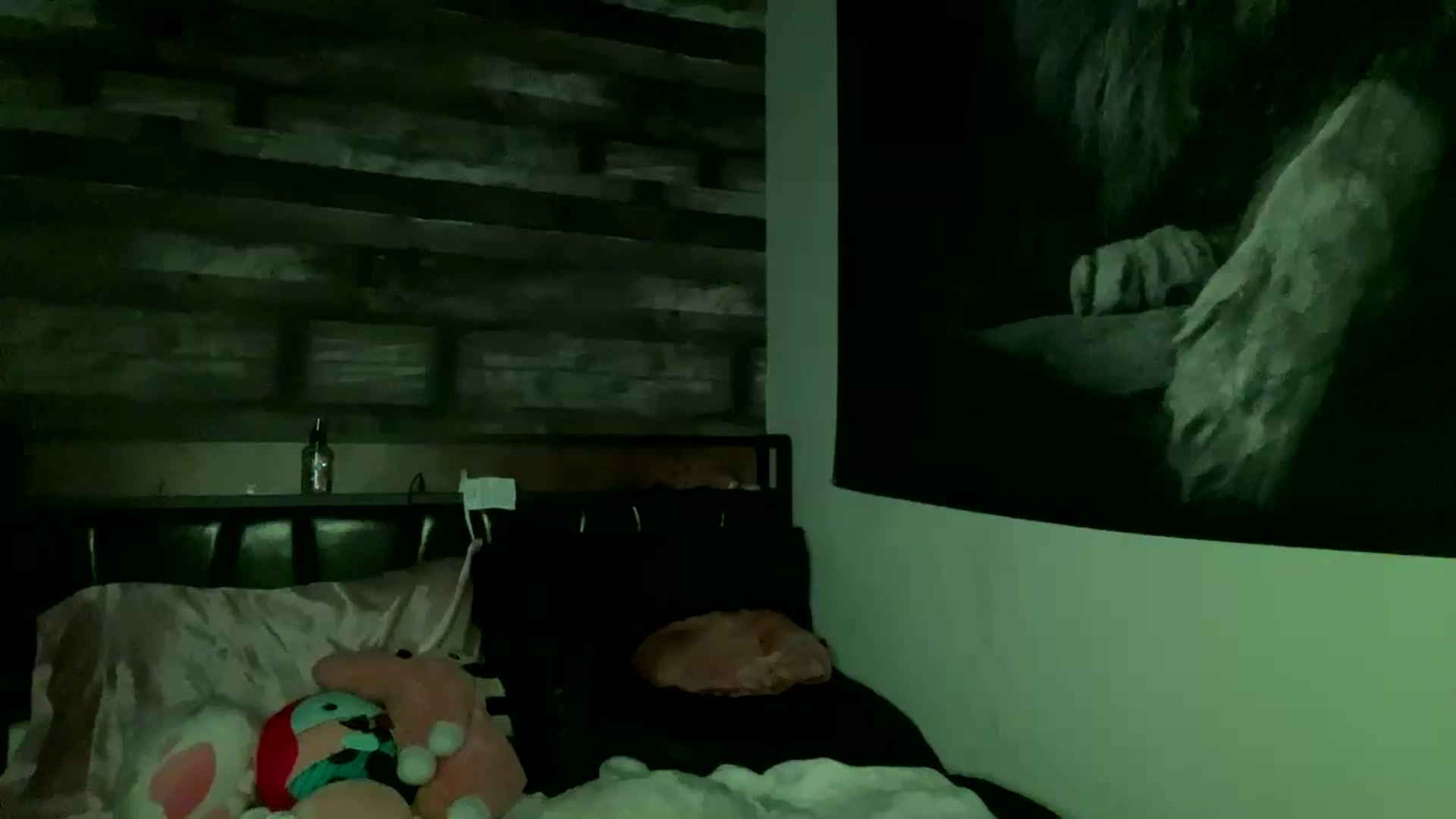 Gallery image thumbnail from RainStormin's myfreecams stream on, 03/07/2025, 10:28 image 15 of 20