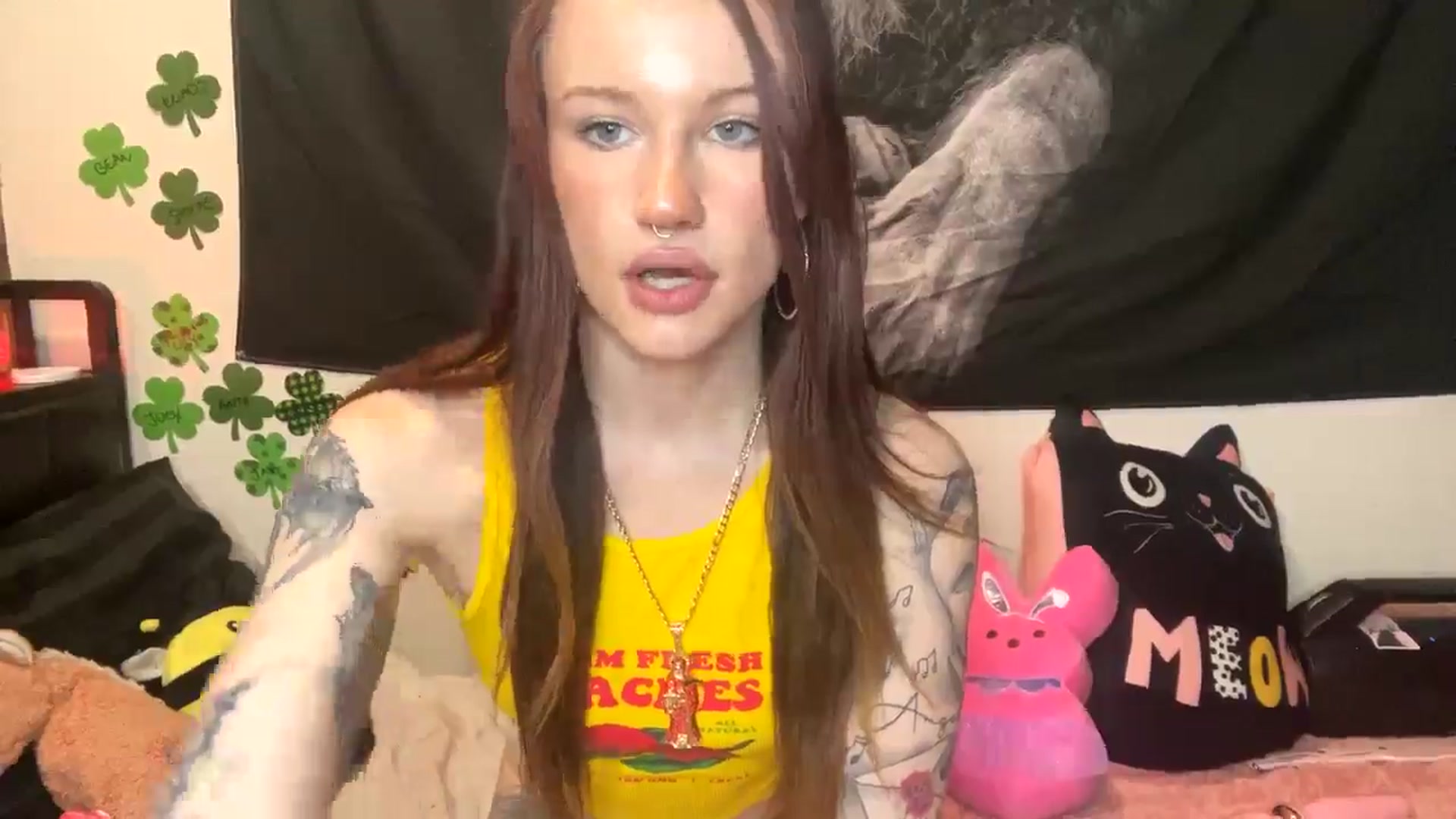 Gallery image thumbnail from RainStormin's myfreecams stream on, 03/20/2025, 06:13 image 17 of 20