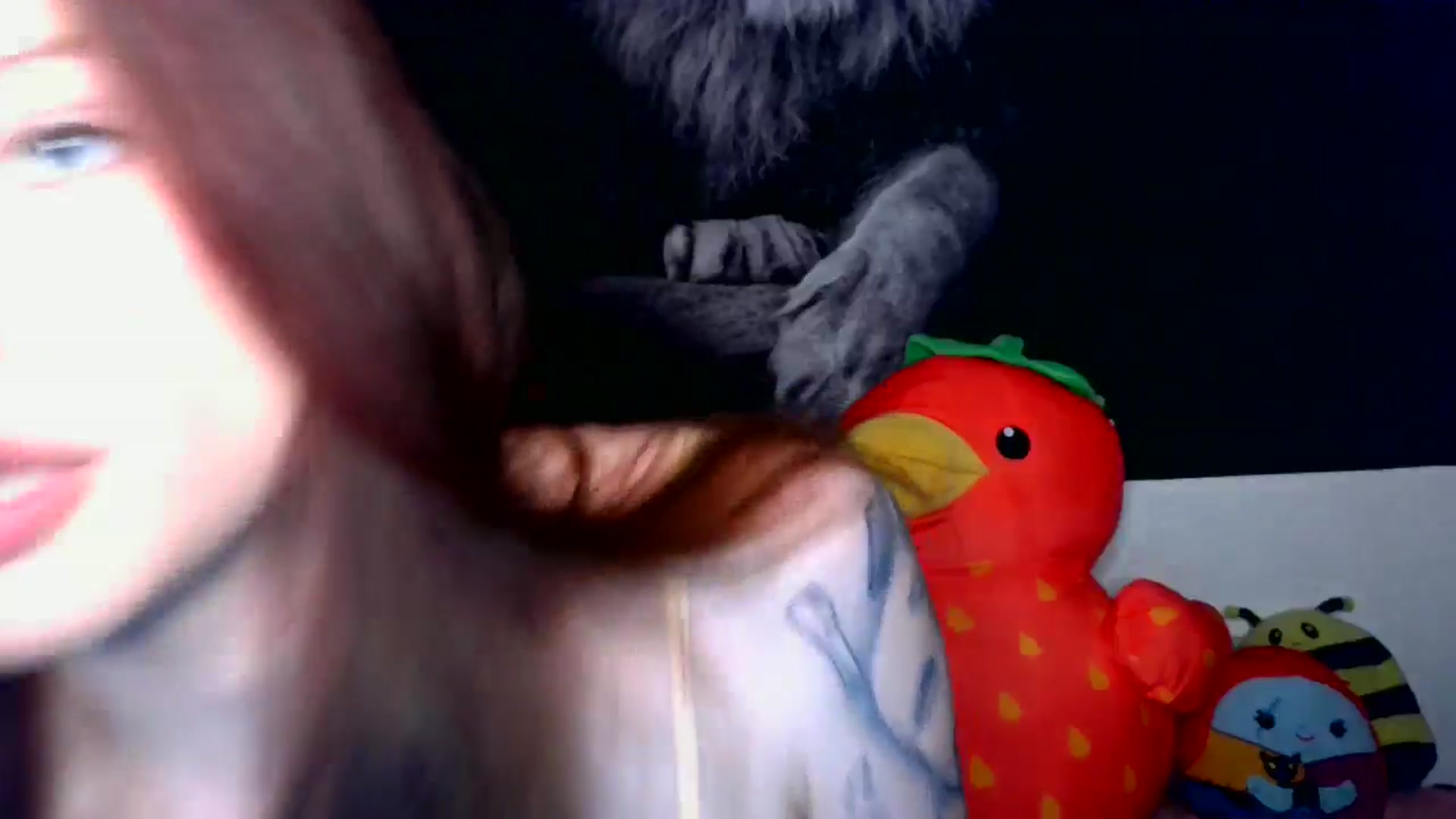 Gallery image thumbnail from RainStormin's myfreecams stream on, 03/24/2025, 06:36 image 4 of 20