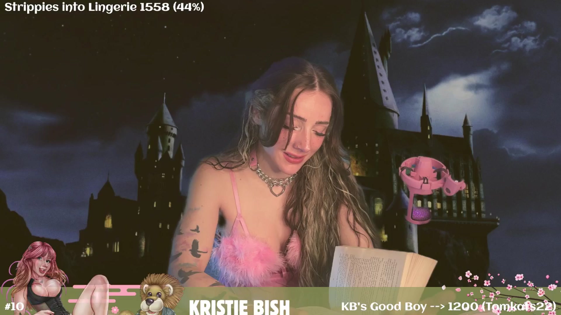 Gallery image thumbnail from RankBish's myfreecams stream on, 08/19/2025, 07:53 image 11 of 20