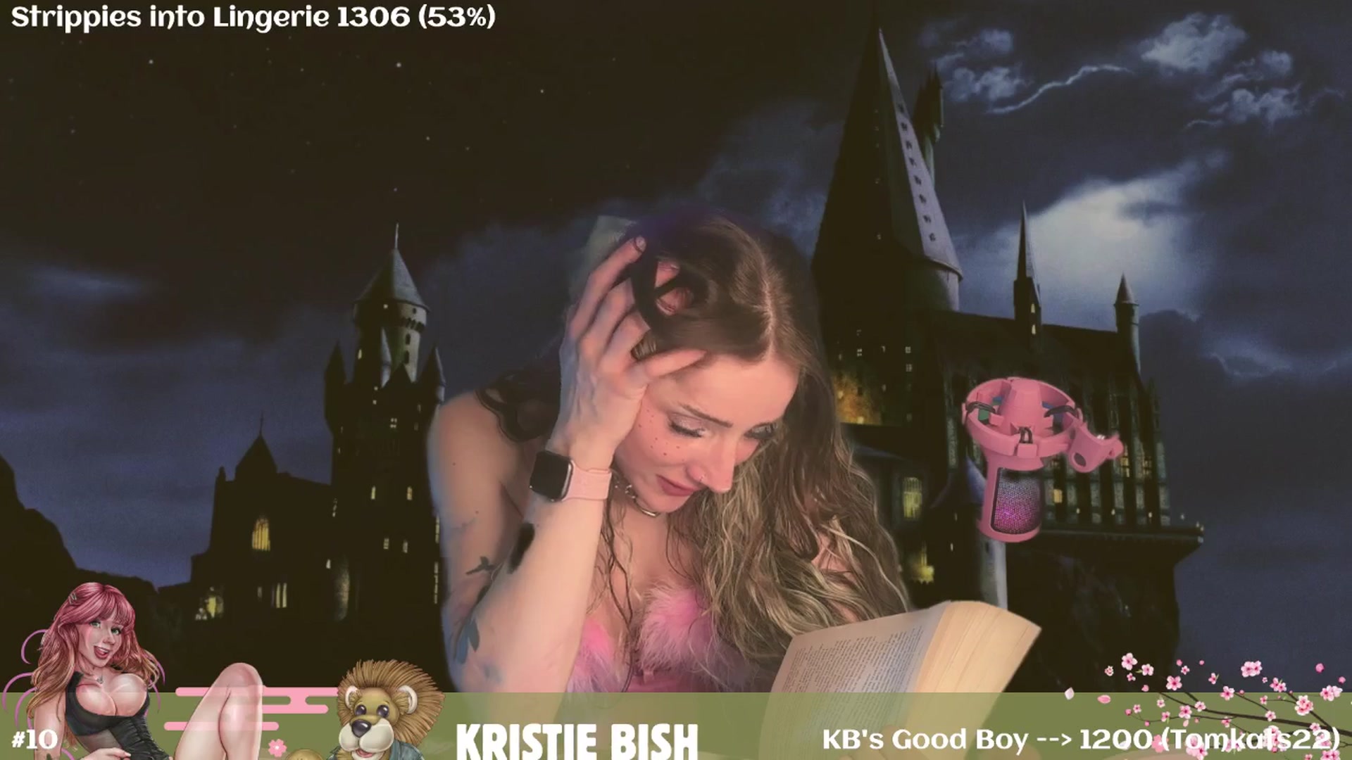 Gallery image thumbnail from RankBish's myfreecams stream on, 08/19/2025, 07:53 image 16 of 20