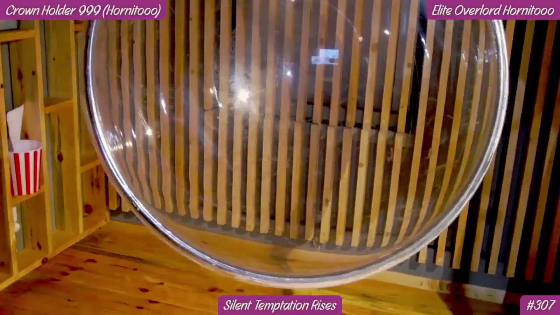 Gallery image thumbnail from Rapunz3l's myfreecams stream on, 11/29/2025, 01:22 image 17 of 20