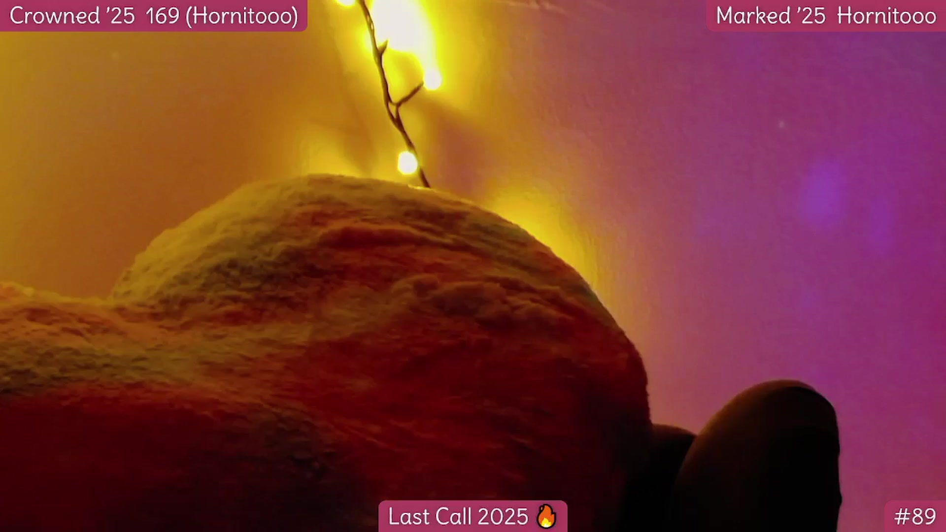 Gallery image thumbnail from Rapunz3l's myfreecams stream on, 12/31/2025, 05:23 image 15 of 20