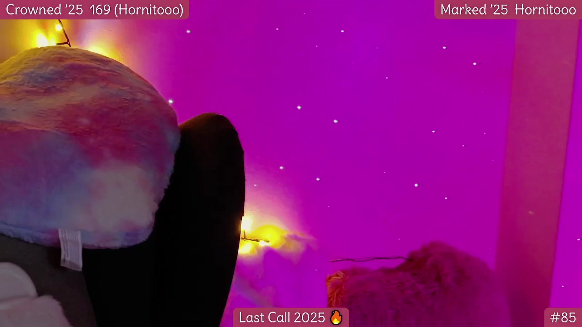 Gallery image thumbnail from Rapunz3l's myfreecams stream on, 12/31/2025, 07:20 image 5 of 20