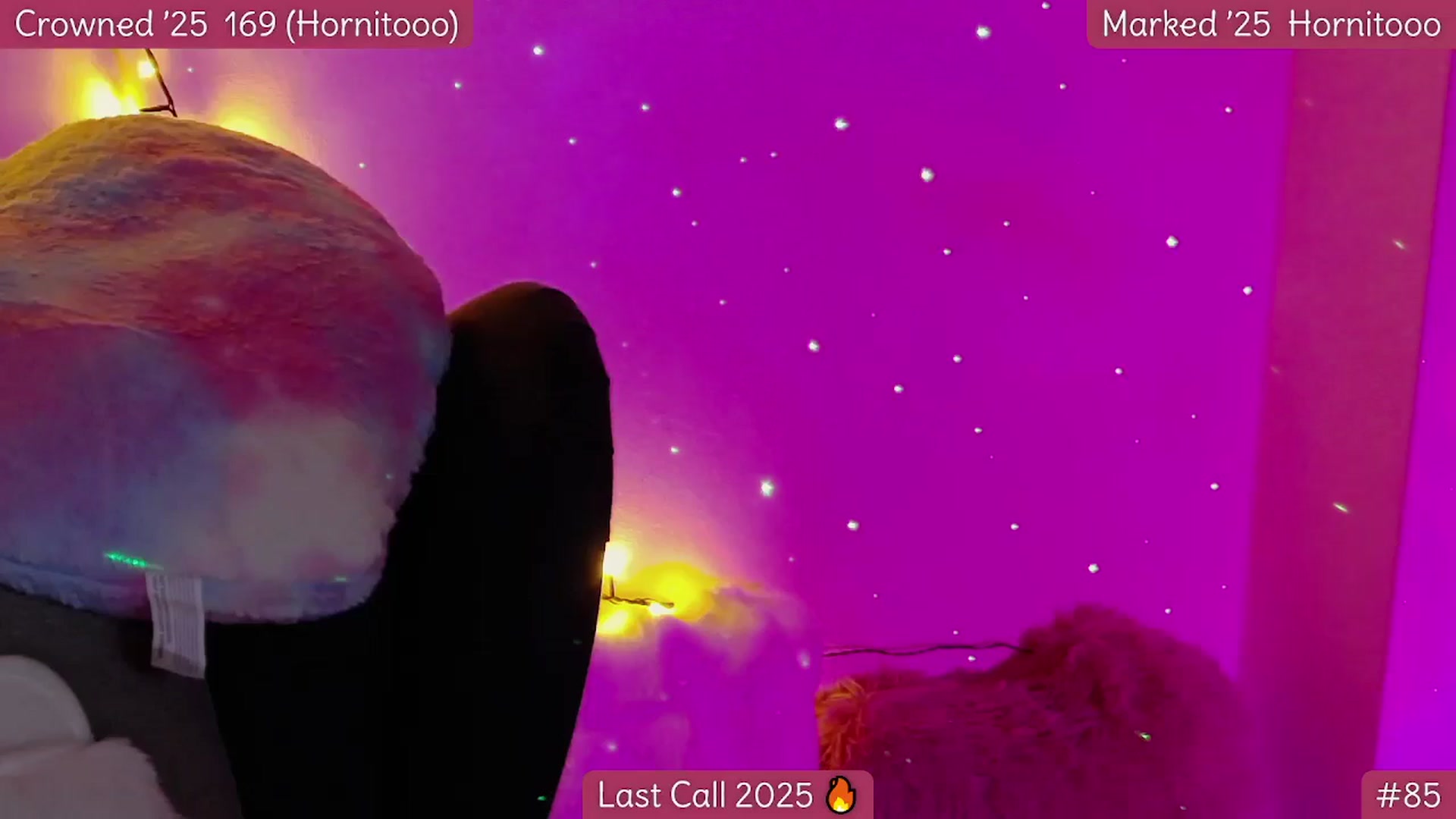 Gallery image thumbnail from Rapunz3l's myfreecams stream on, 12/31/2025, 07:20 image 6 of 20
