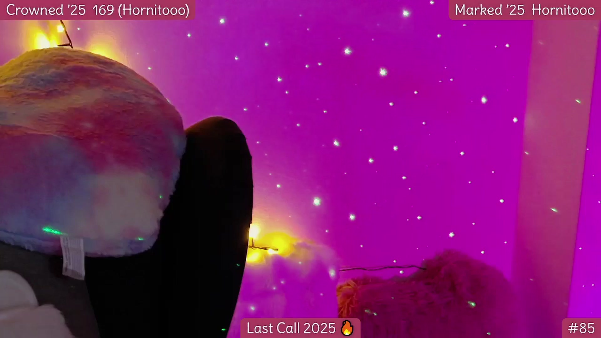 Gallery image thumbnail from Rapunz3l's myfreecams stream on, 12/31/2025, 07:20 image 8 of 20