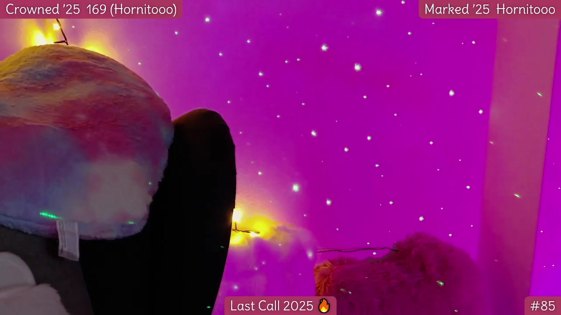 Gallery image thumbnail from Rapunz3l's myfreecams stream on, 12/31/2025, 07:20 image 7 of 20