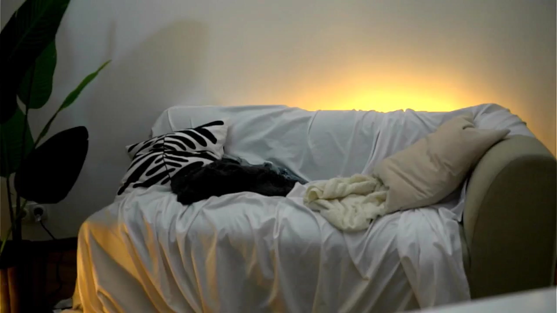 Gallery image thumbnail from Rapunzel_'s myfreecams stream on, 11/13/2024, 23:00 image 16 of 20