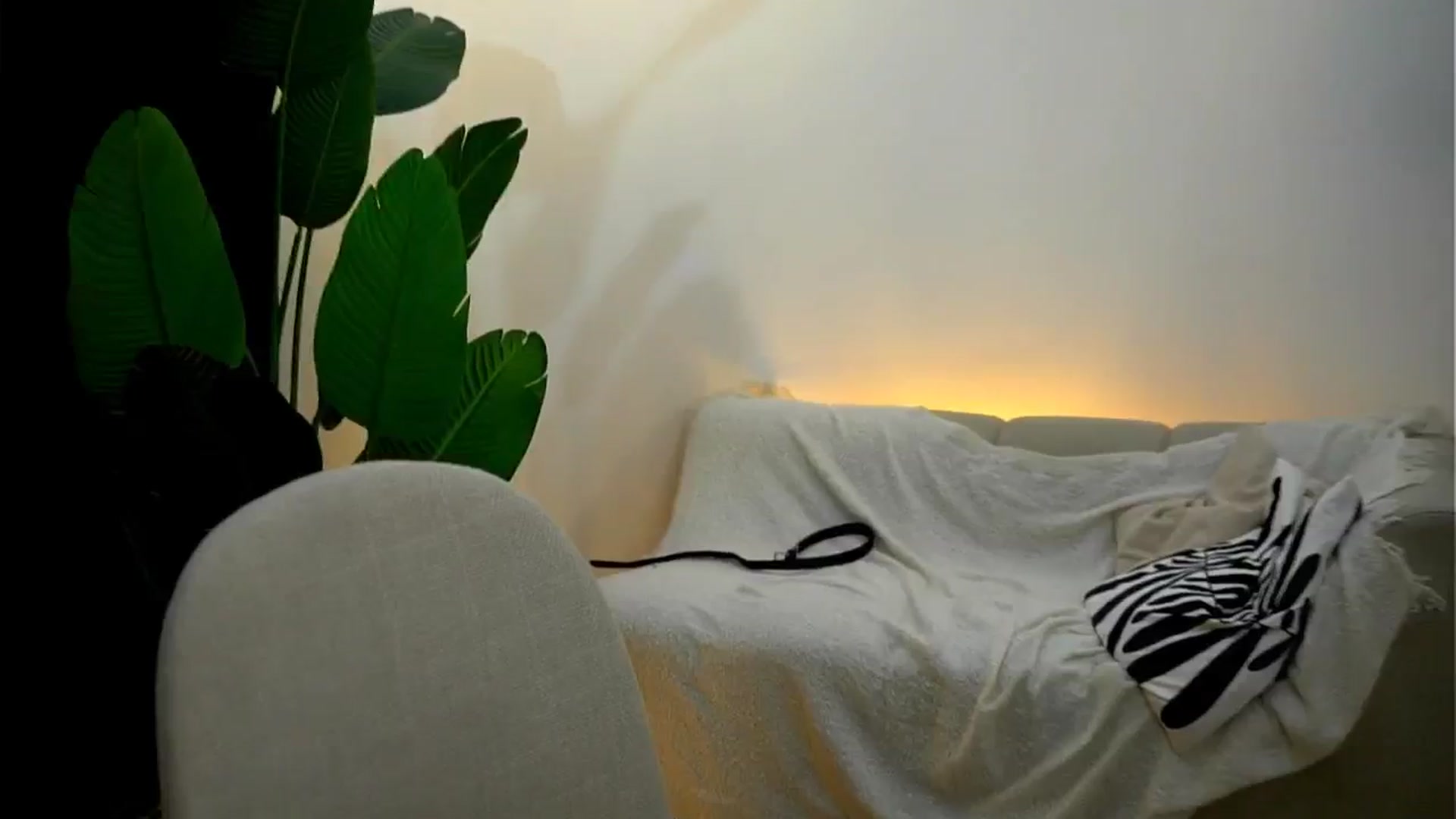 Gallery image thumbnail from Rapunzel_'s myfreecams stream on, 11/27/2024, 21:11 image 15 of 20