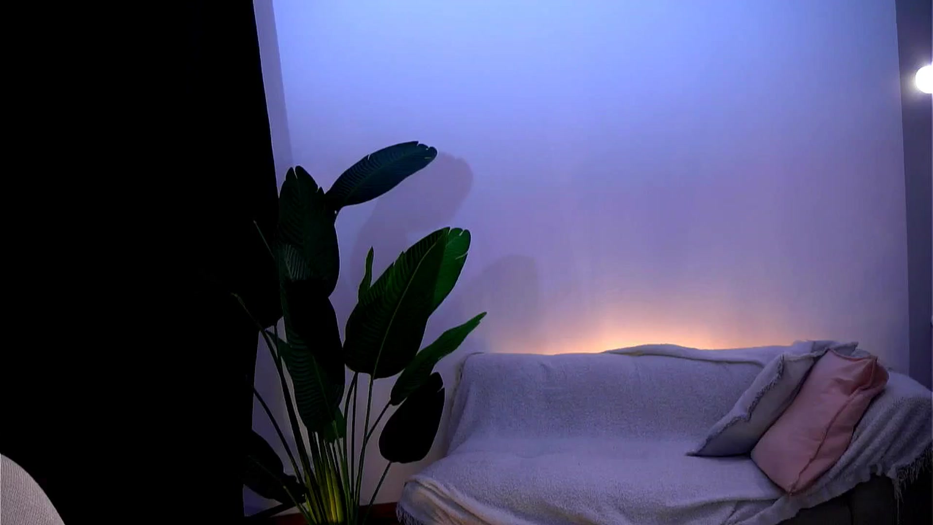 Gallery image thumbnail from Rapunzel_'s myfreecams stream on, 01/15/2025, 15:32 image 13 of 20