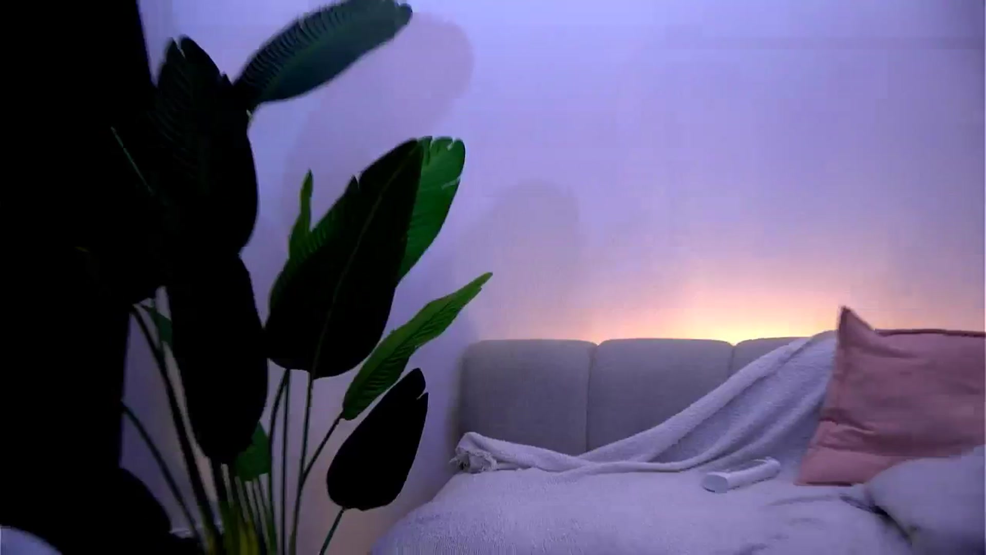 Gallery image thumbnail from Rapunzel_'s myfreecams stream on, 01/15/2025, 18:47 image 19 of 20