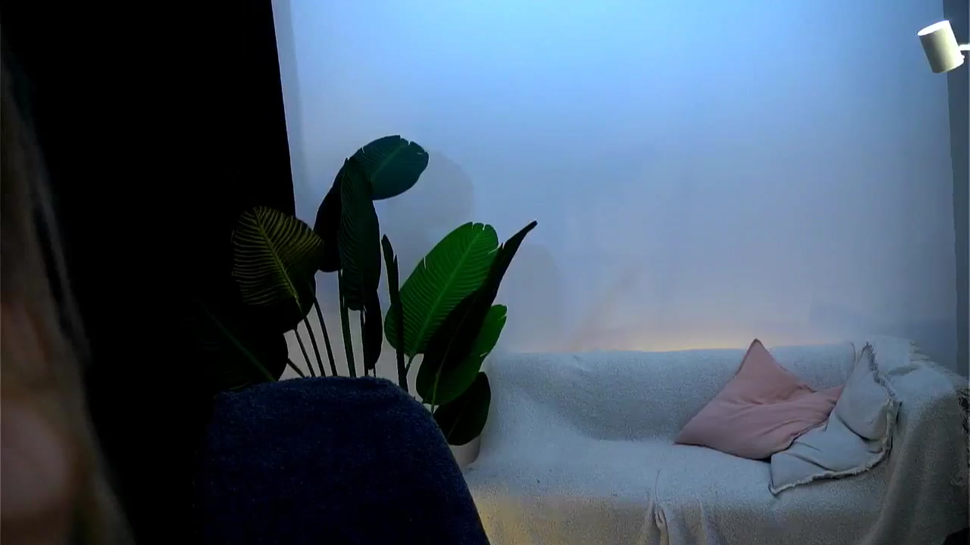Gallery image thumbnail from Rapunzel_'s myfreecams stream on, 01/21/2025, 19:07 image 13 of 20