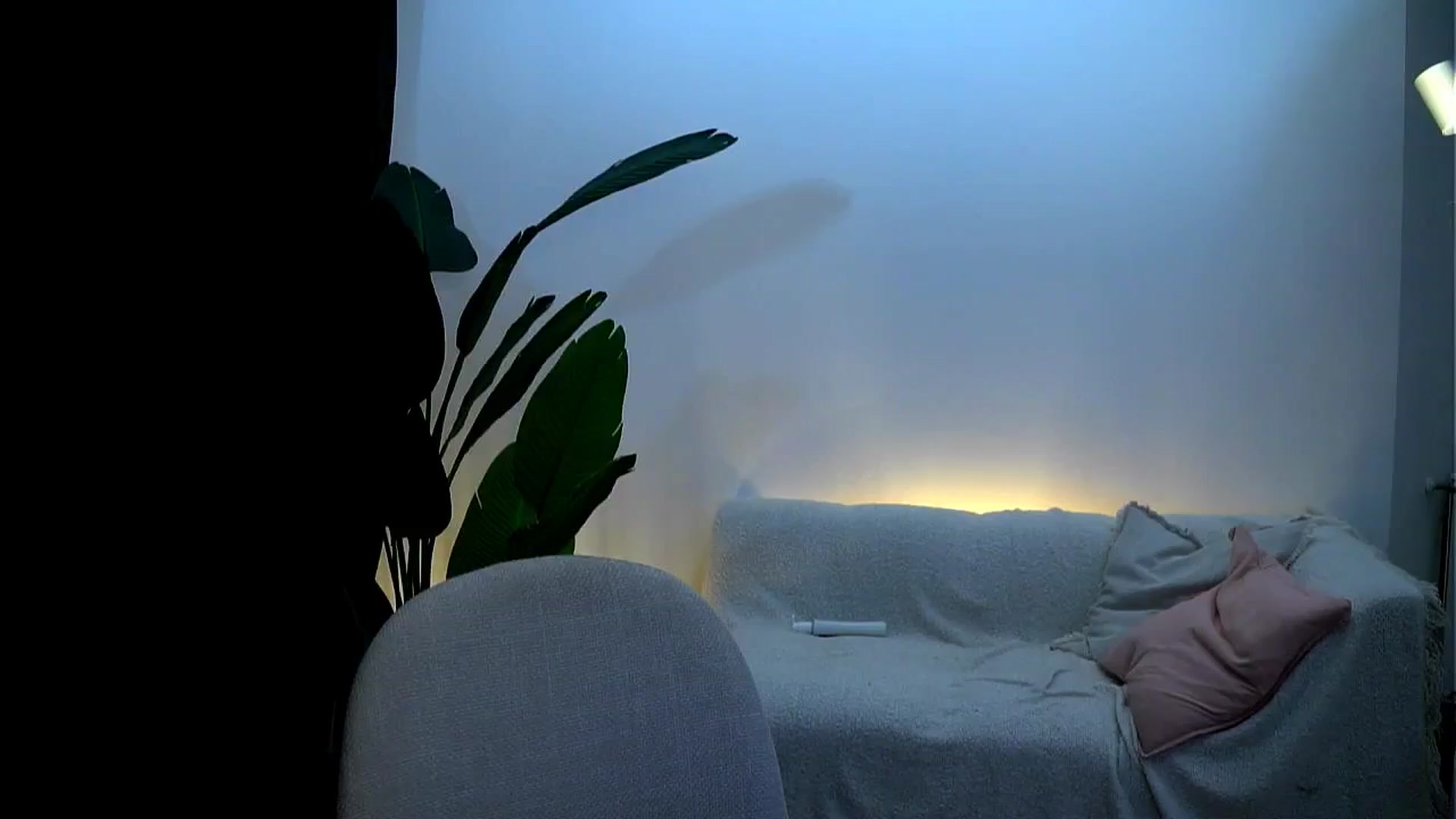 Gallery image thumbnail from Rapunzel_'s myfreecams stream on, 01/24/2025, 18:32 image 14 of 20