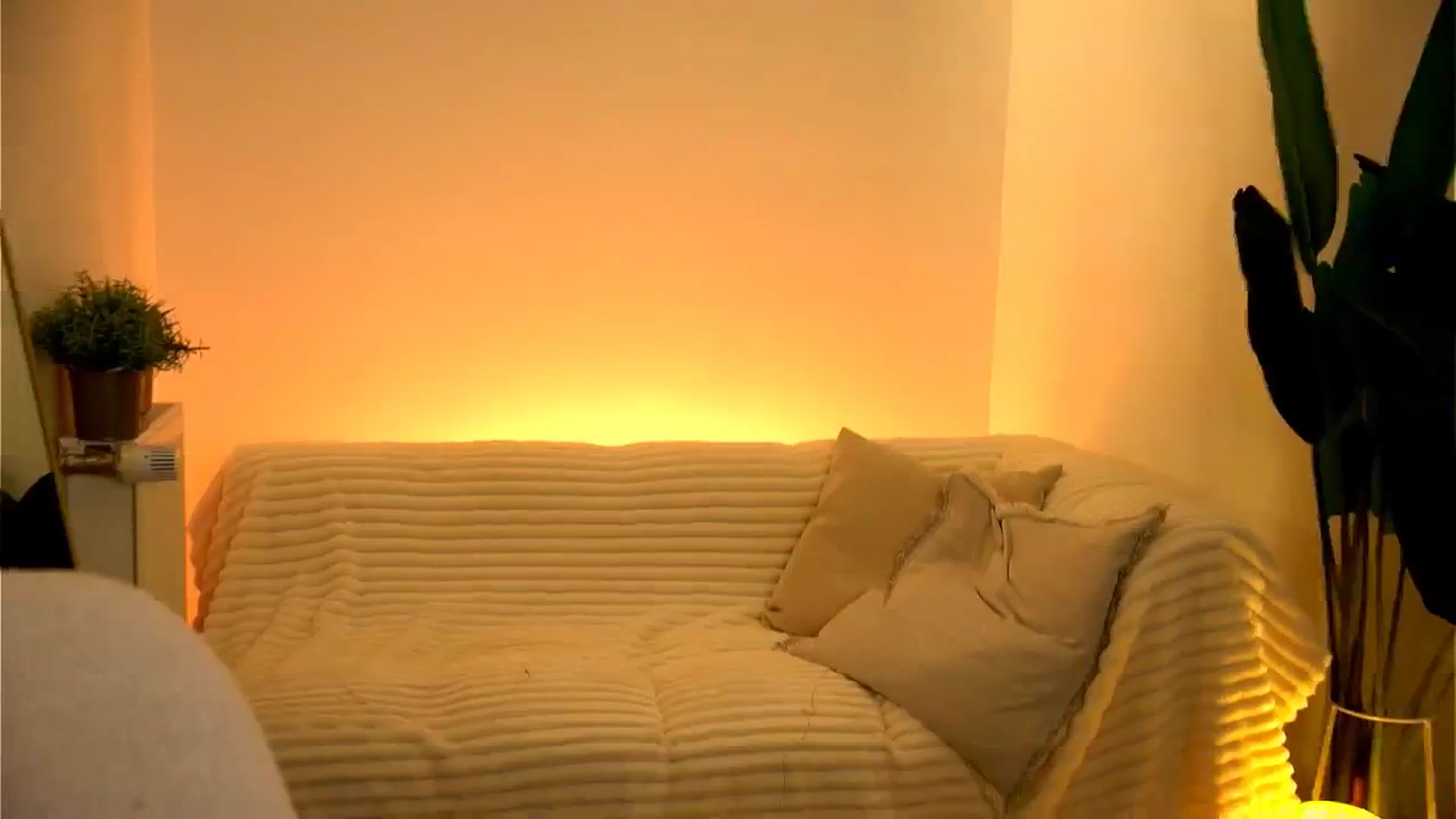 Gallery image thumbnail from Rapunzel_'s myfreecams stream on, 02/15/2025, 21:36 image 15 of 20