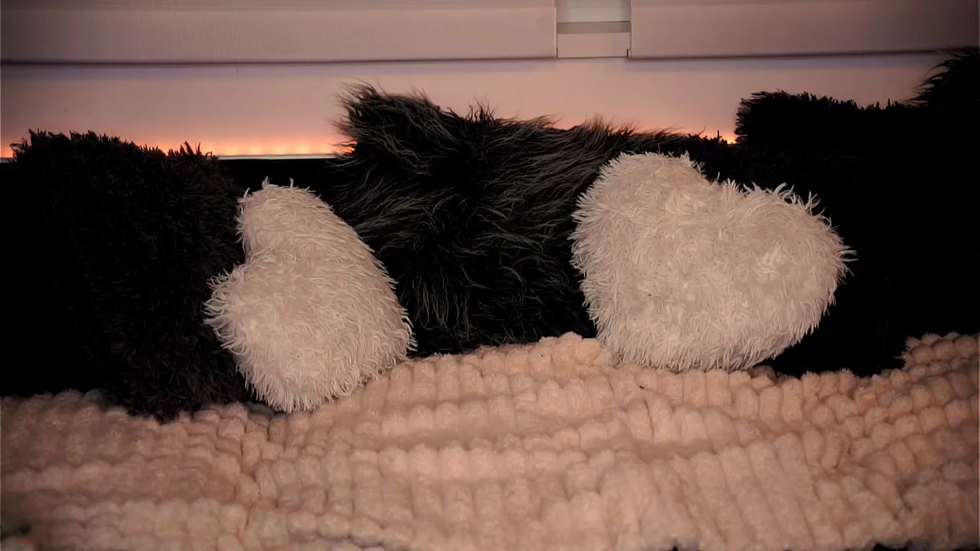Gallery image thumbnail from Rapunzel_'s myfreecams stream on, 02/28/2026, 01:49 image 5 of 20
