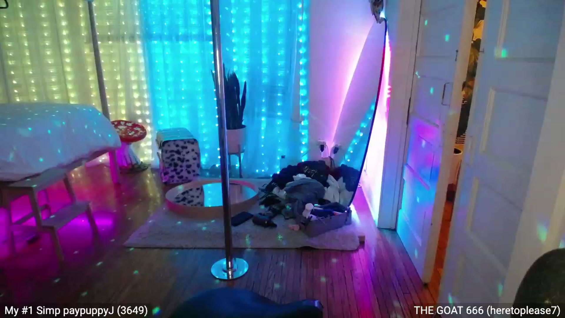 Gallery image thumbnail from RascalTV's myfreecams stream on, 11/19/2022, 09:05 image 2 of 20