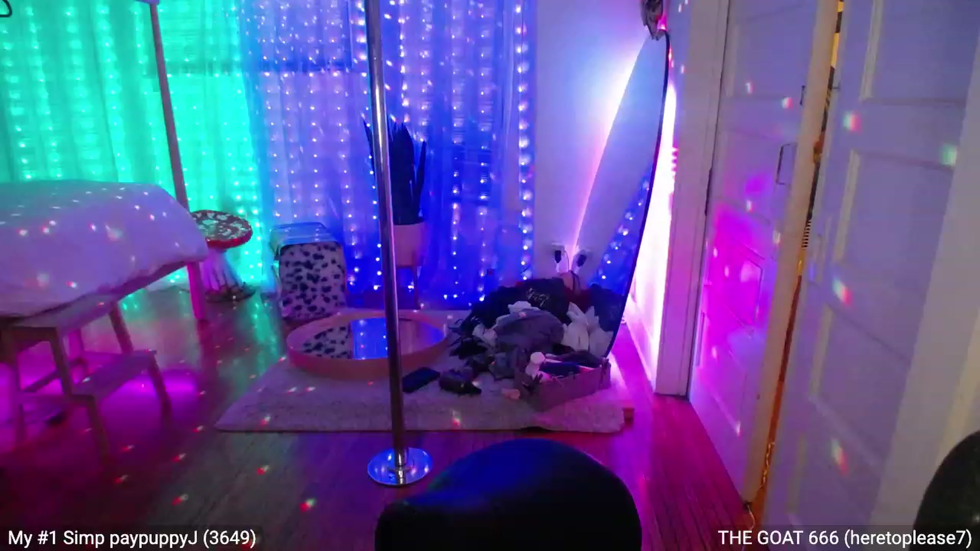 Gallery image thumbnail from RascalTV's myfreecams stream on, 11/19/2022, 09:05 image 18 of 20