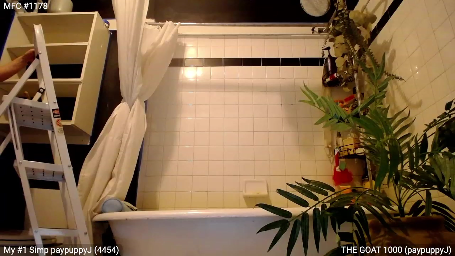 Gallery image thumbnail from RascalTV's myfreecams stream on, 06/25/2023, 03:01 image 16 of 20
