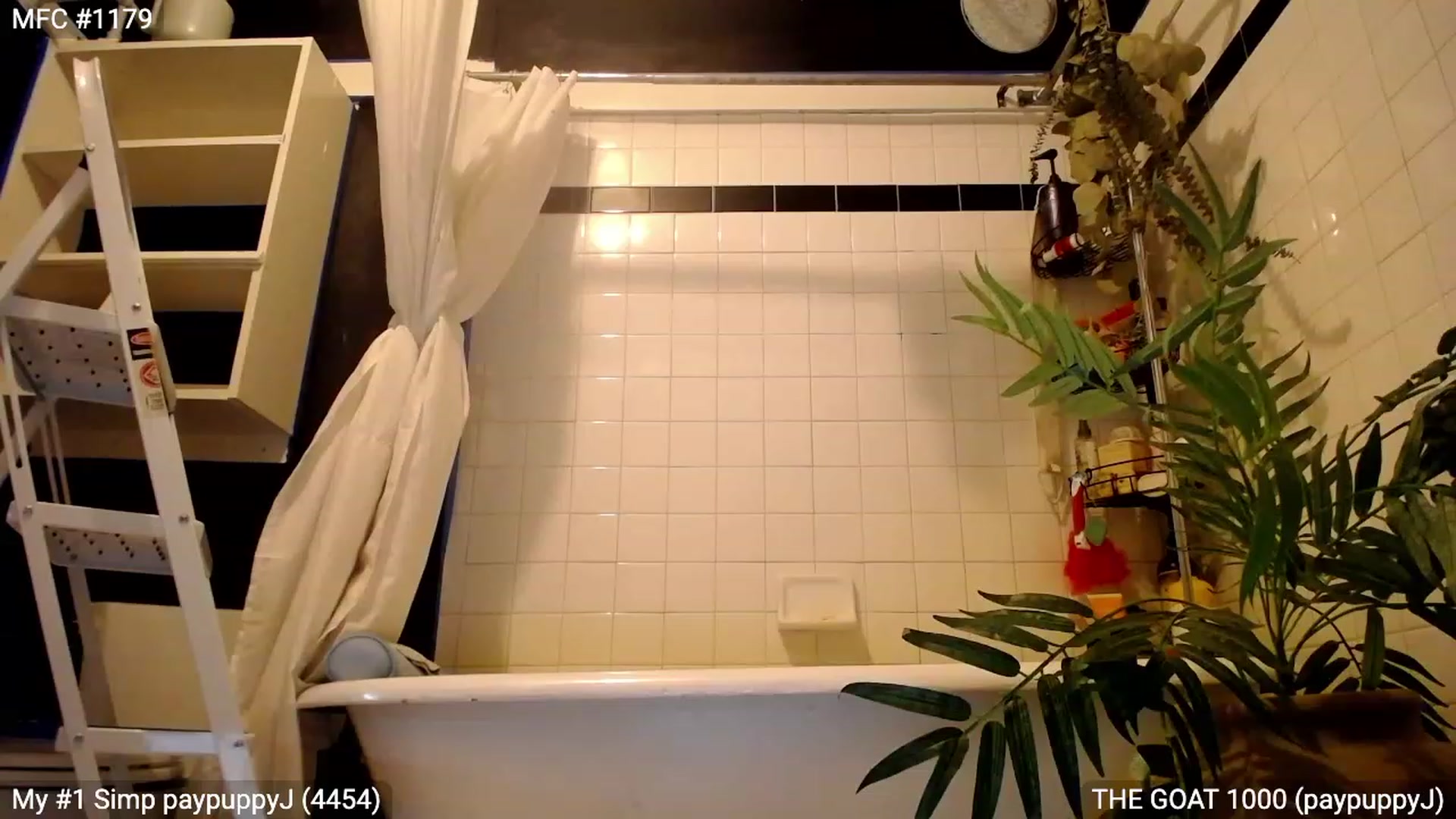 Gallery image thumbnail from RascalTV's myfreecams stream on, 06/25/2023, 03:01 image 18 of 20