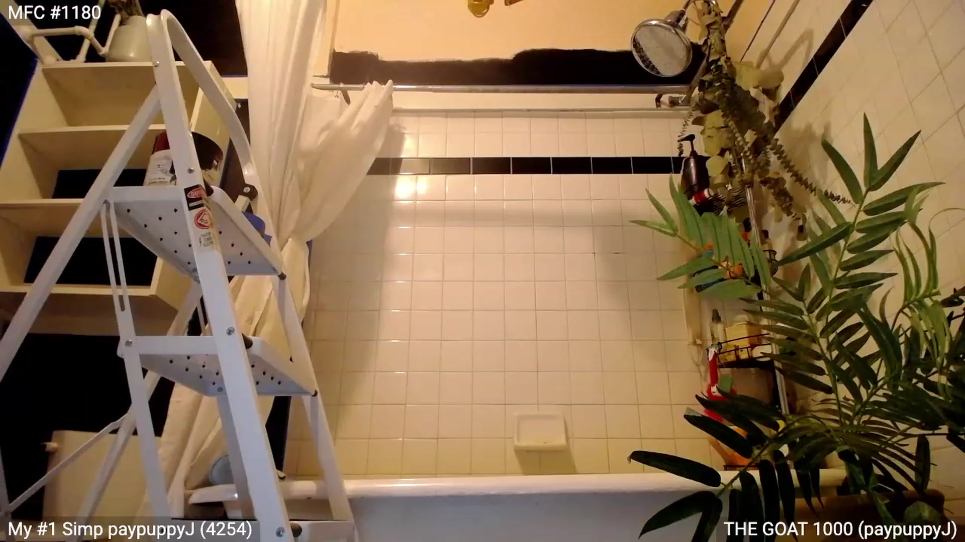 Gallery image thumbnail from RascalTV's myfreecams stream on, 06/25/2023, 03:01 image 3 of 20