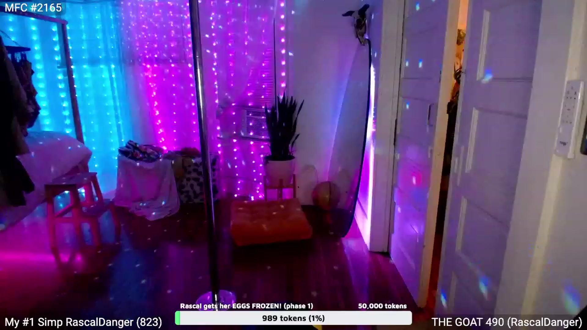 Gallery image thumbnail from RascalTV's myfreecams stream on, 07/22/2023, 08:38 image 2 of 20