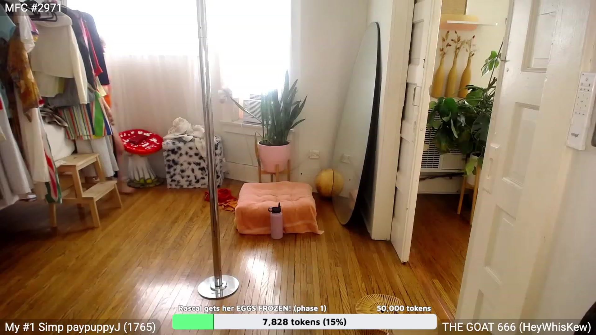 Gallery image thumbnail from RascalTV's myfreecams stream on, 08/05/2023, 23:09 image 15 of 20