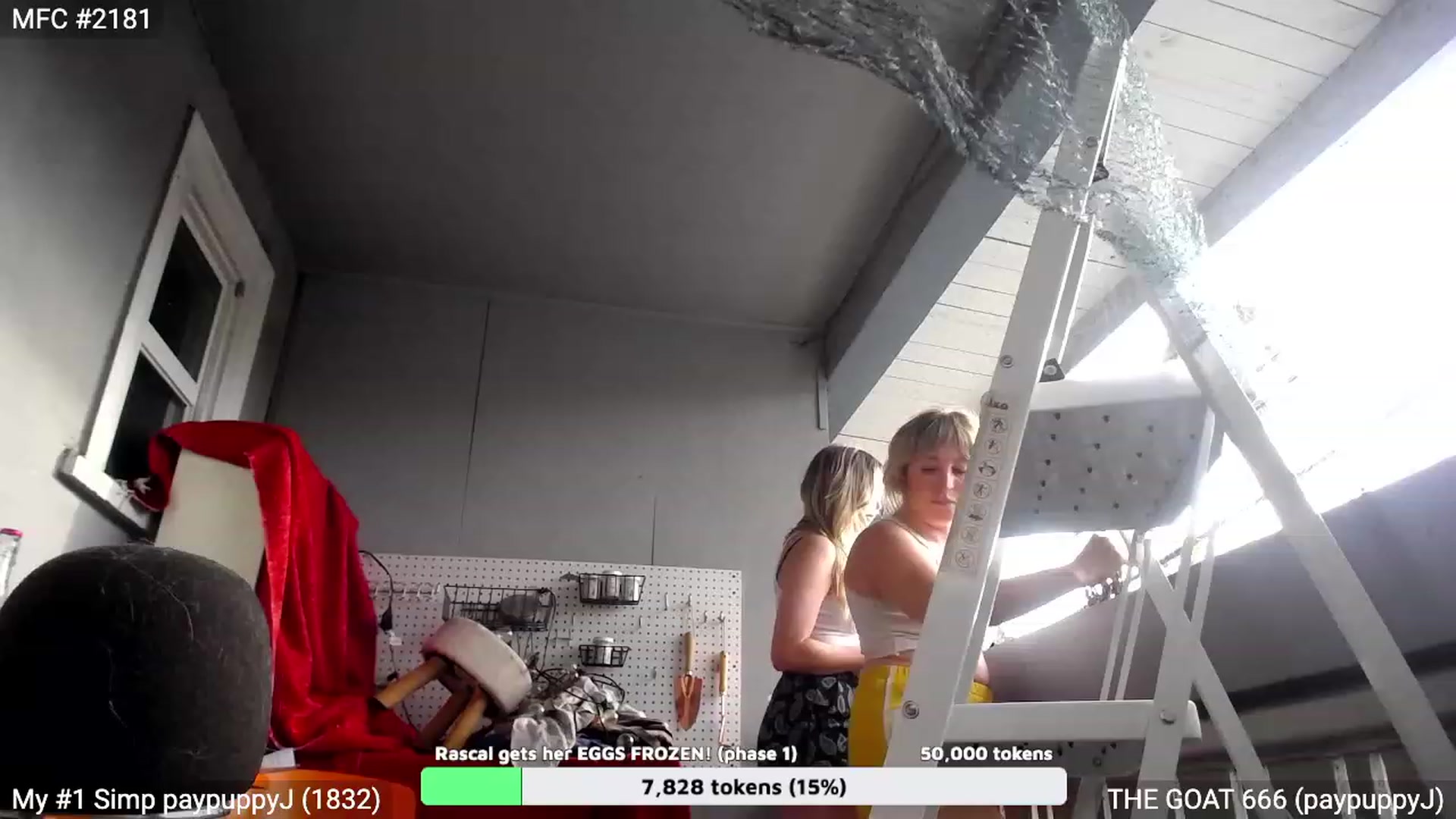 Gallery image thumbnail from RascalTV's myfreecams stream on, 08/20/2023, 01:58 image 9 of 20
