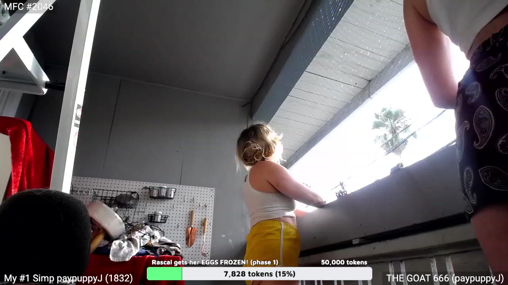 Gallery image thumbnail from RascalTV's myfreecams stream on, 08/20/2023, 01:58 image 12 of 20