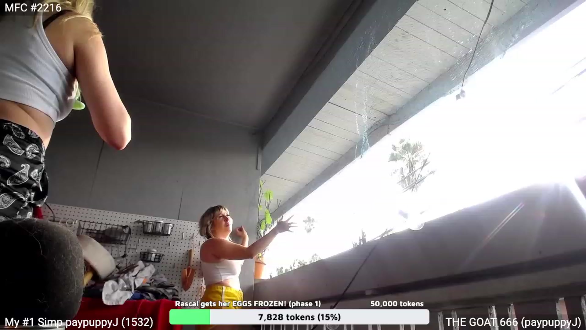 Gallery image thumbnail from RascalTV's myfreecams stream on, 08/20/2023, 01:58 image 5 of 20