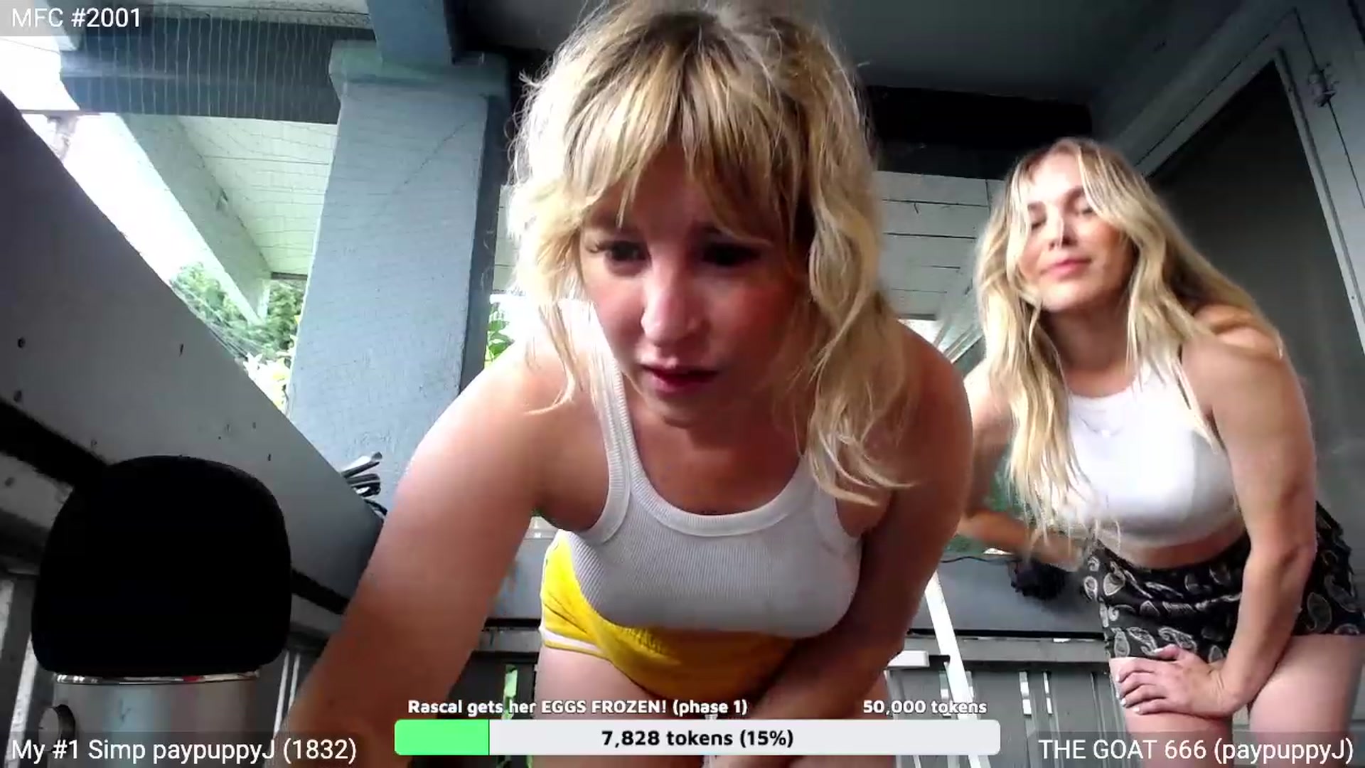 Gallery image thumbnail from RascalTV's myfreecams stream on, 08/20/2023, 01:58 image 18 of 20